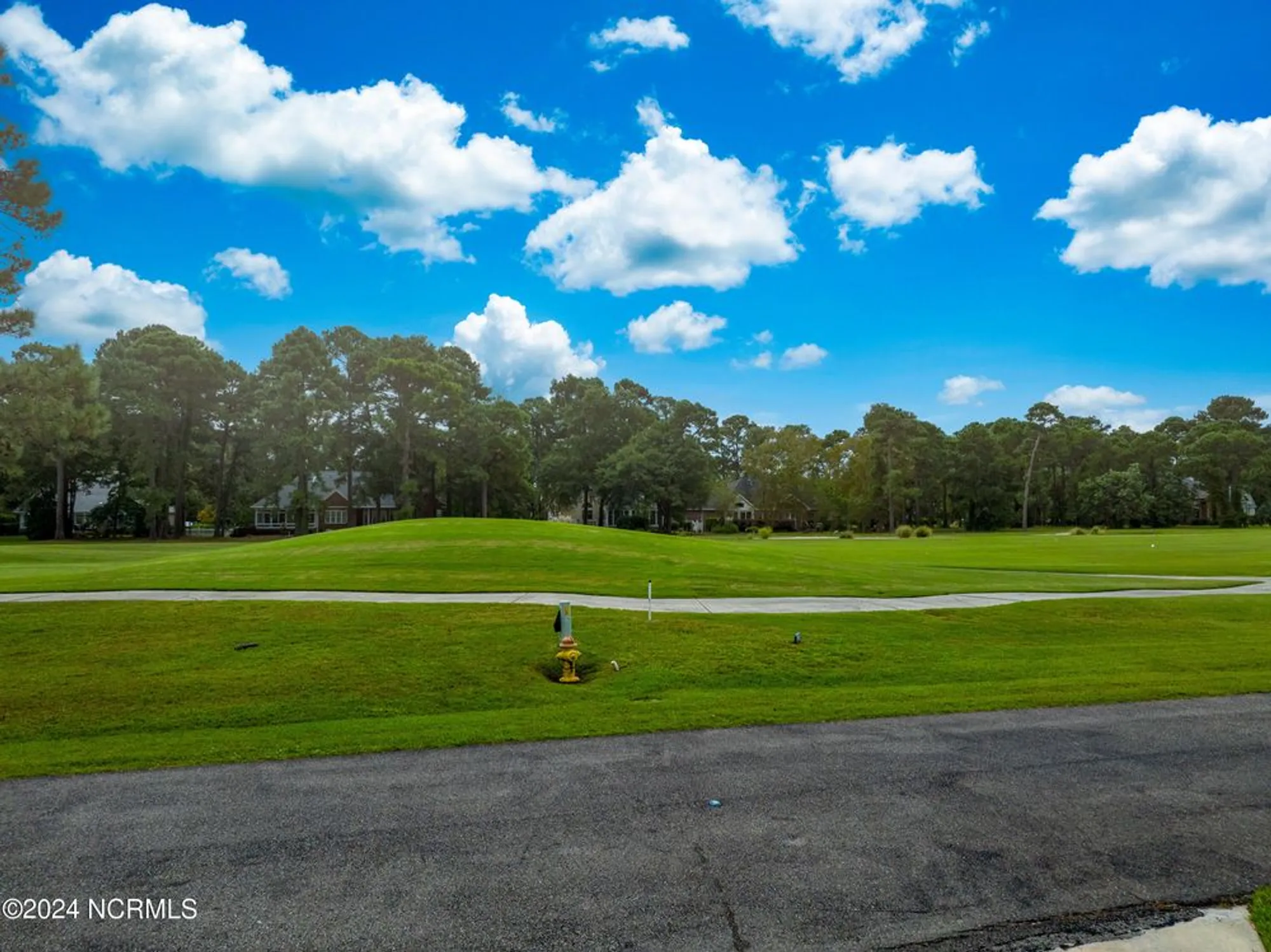 Property Slideshow image 59 of 95 | 3184 wild azalea way, Southport, NC, 28461