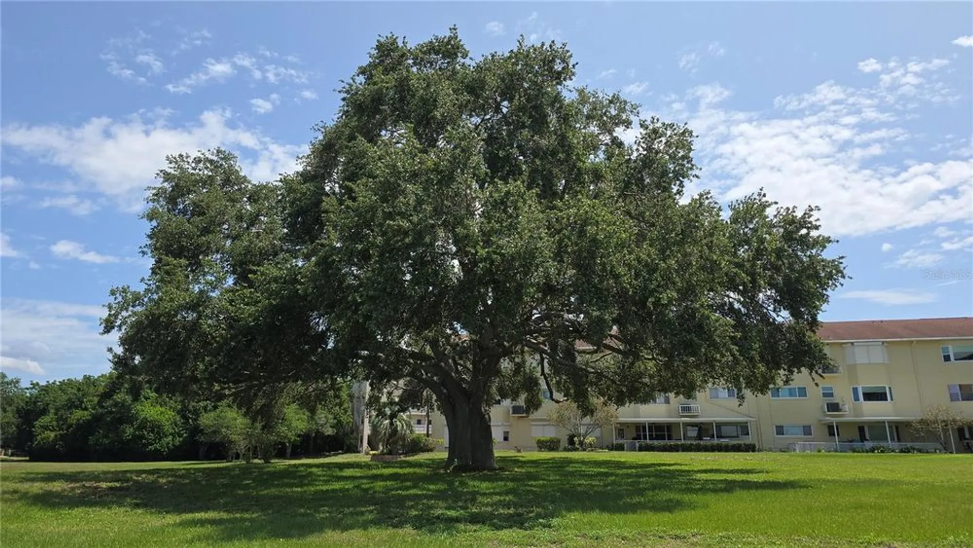 Property Slideshow image 34 of 37 | 2192 swedish dr apt 10, Clearwater, FL, 33763