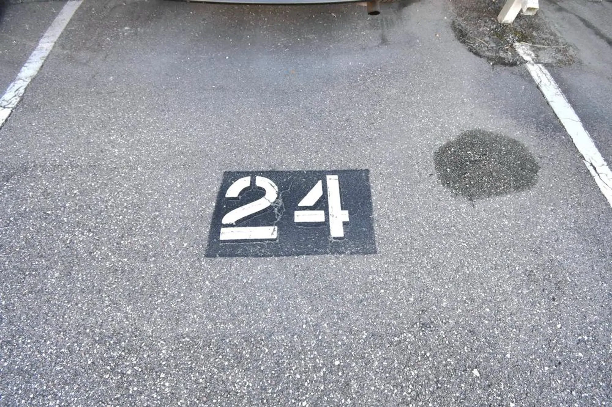 Property Slideshow image 23 of 25 | 970 virginia st apt 308, Dunedin, FL, 34698