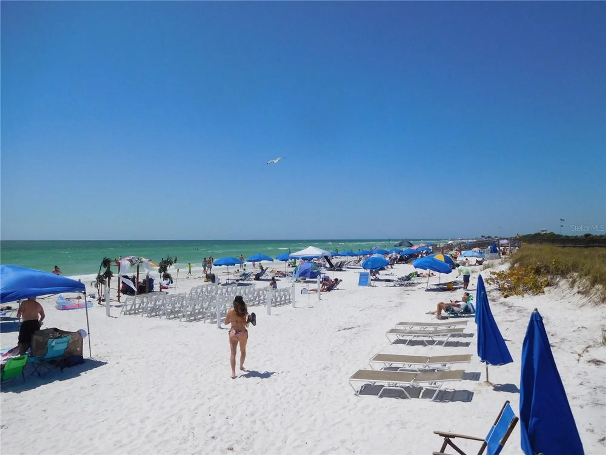 Property Slideshow image 49 of 60 | 9 forbes pl 310, Dunedin, FL, 34698