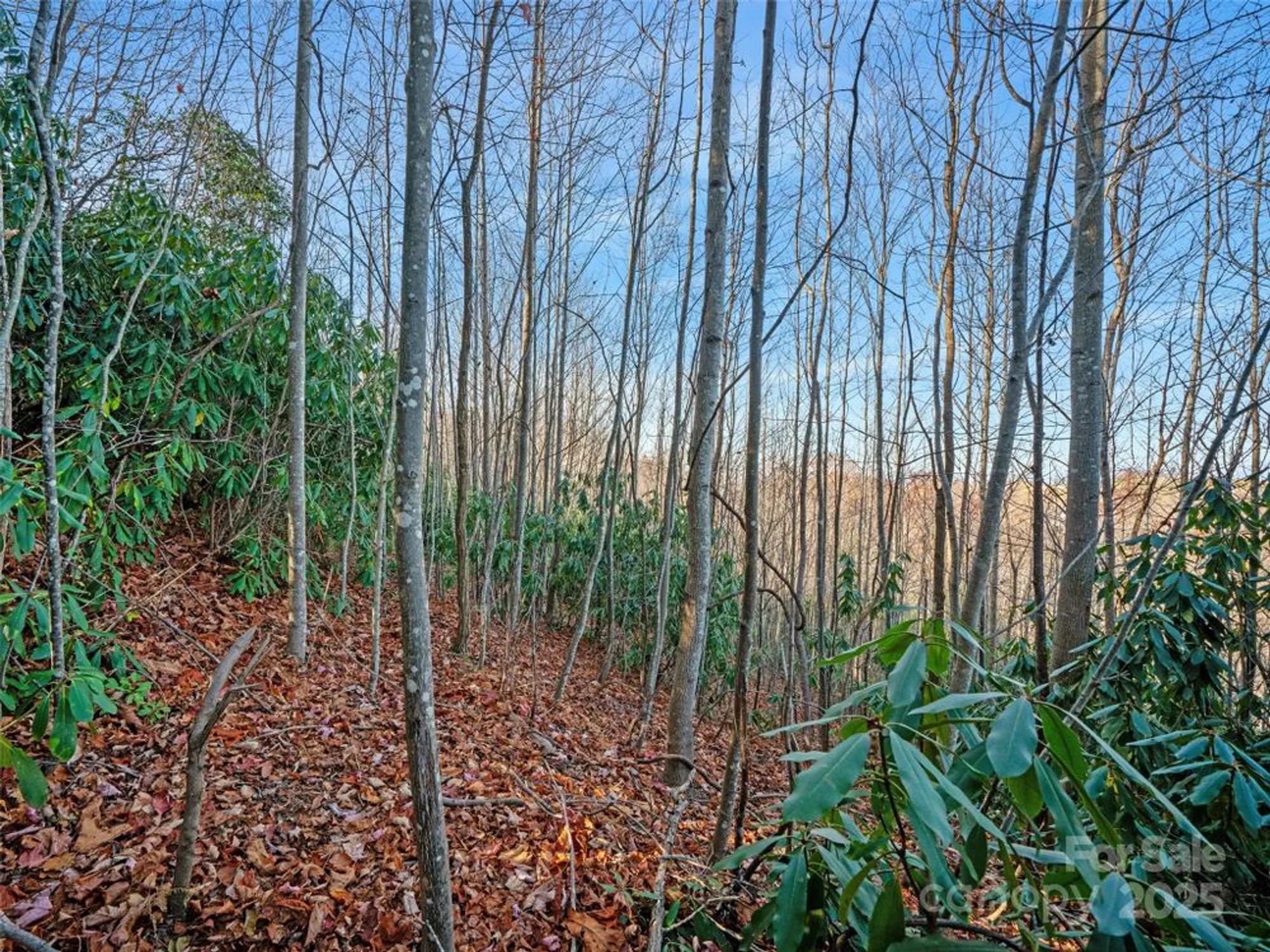Property Slideshow image 18 of 36 | 99999 bay laurel ln, Hendersonville, NC, 28791