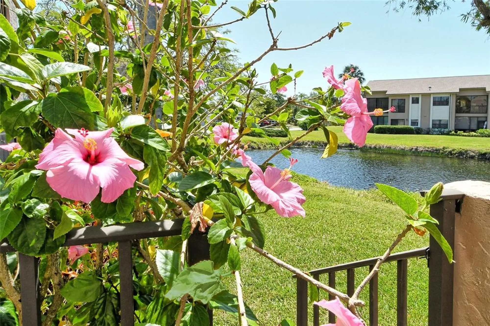 Property Slideshow image 45 of 87 | 5230 landings blvd 101, Sarasota, FL, 34231