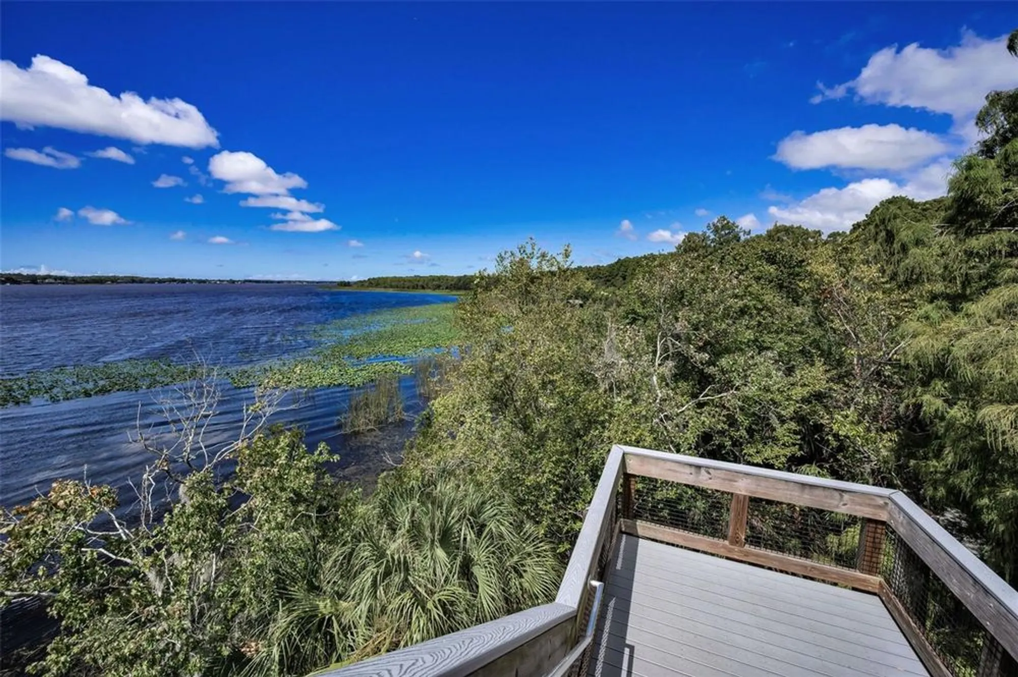 Property Slideshow image 67 of 70 | 921 anchorage ln, Palm Harbor, FL, 34685