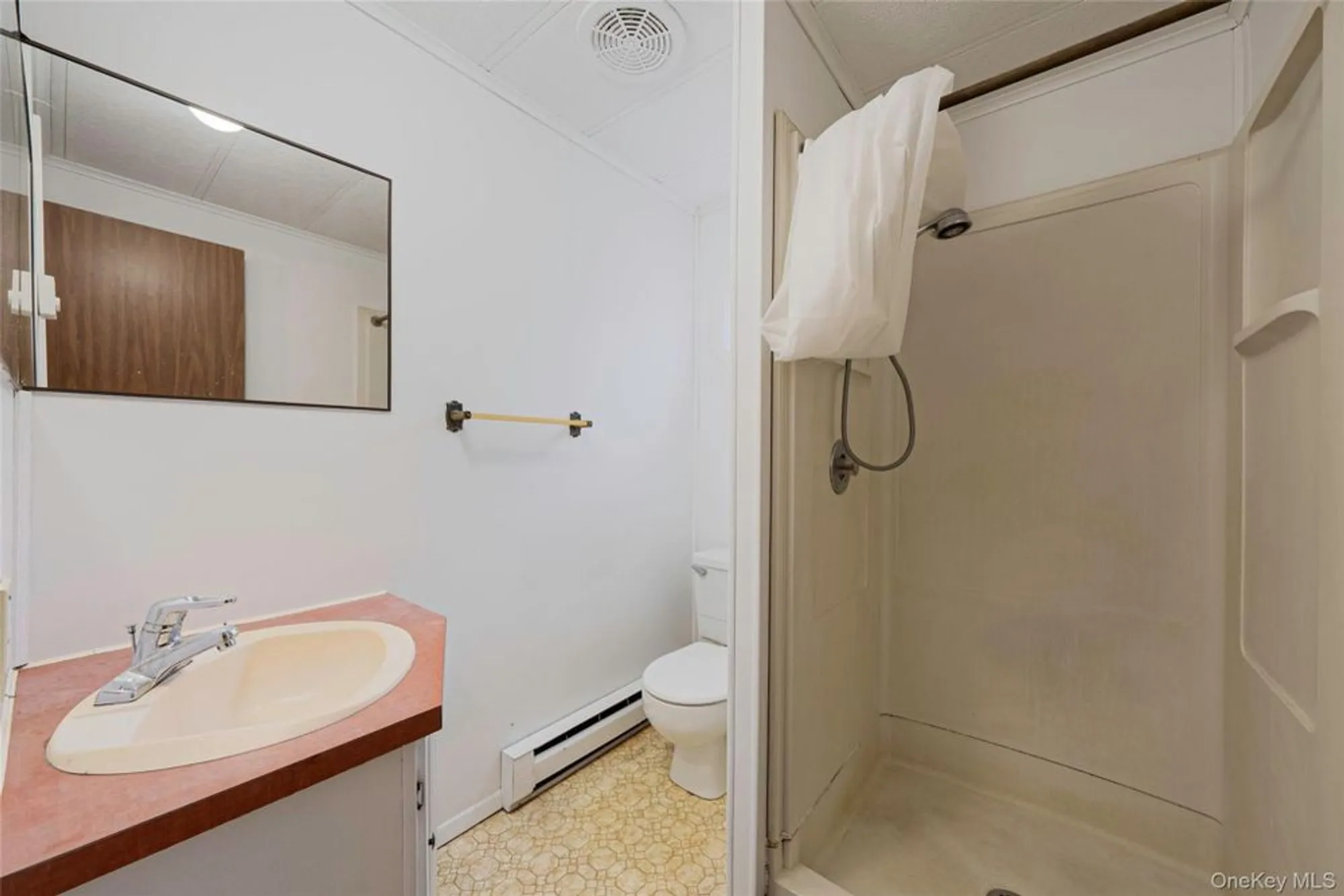 Property Slideshow image 19 of 23 | 22 limetree dr, Manorville, NY, 11949