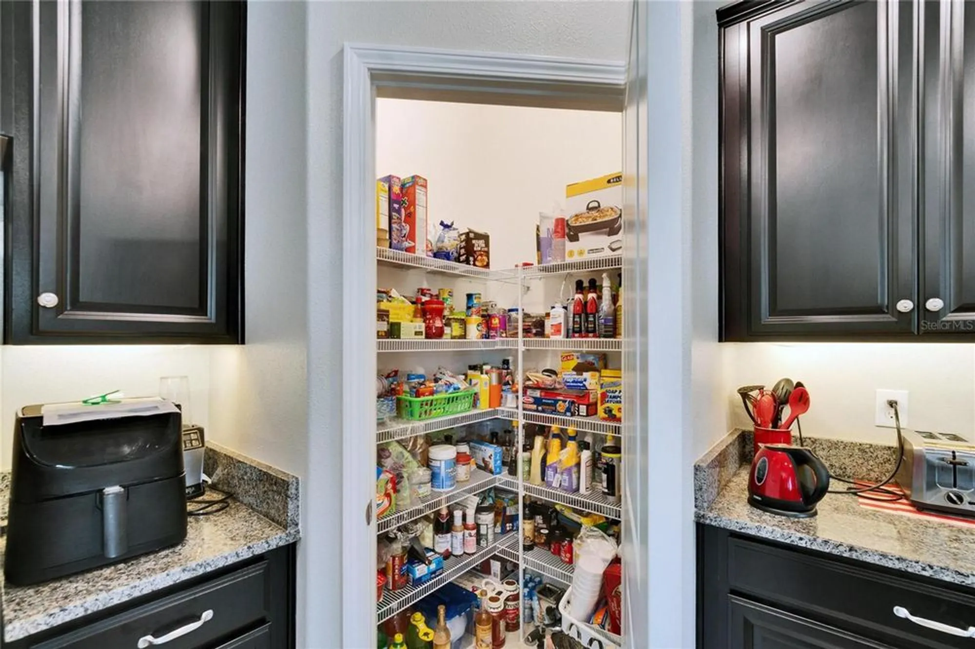 Property Slideshow image 24 of 98 | 16868 scuba crest st, Wimauma, FL, 33598