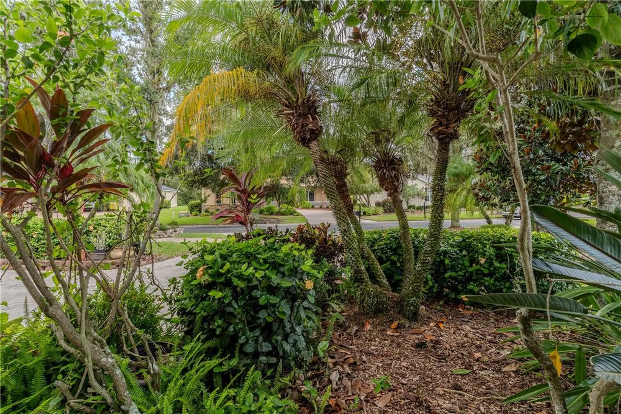 Property Slideshow image 38 of 42 | 157 sand piper dr, Kissimmee, FL, 34759