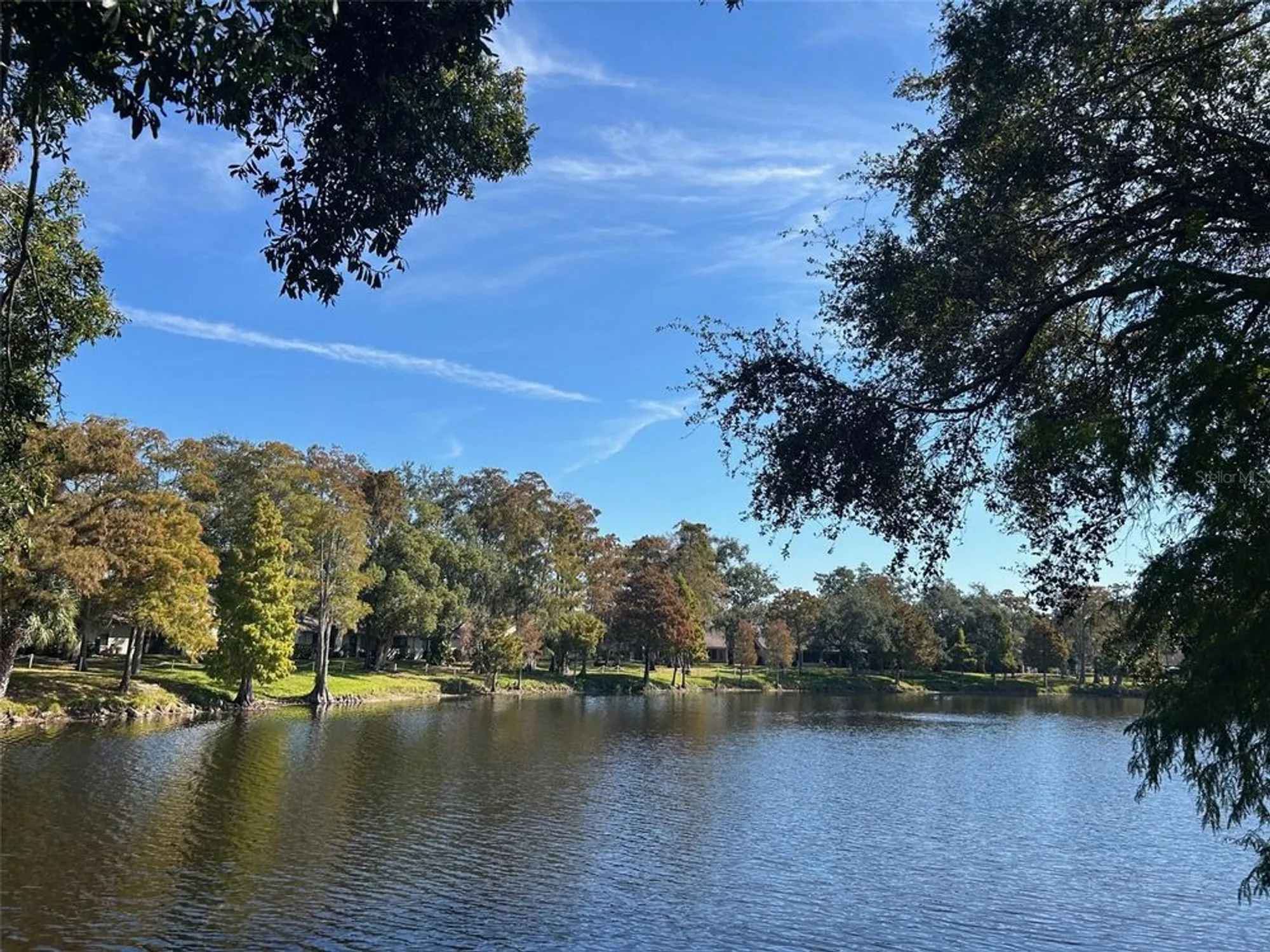 Property Slideshow image 2 of 52 | 2585 bay berry dr 43d, Clearwater, FL, 33763