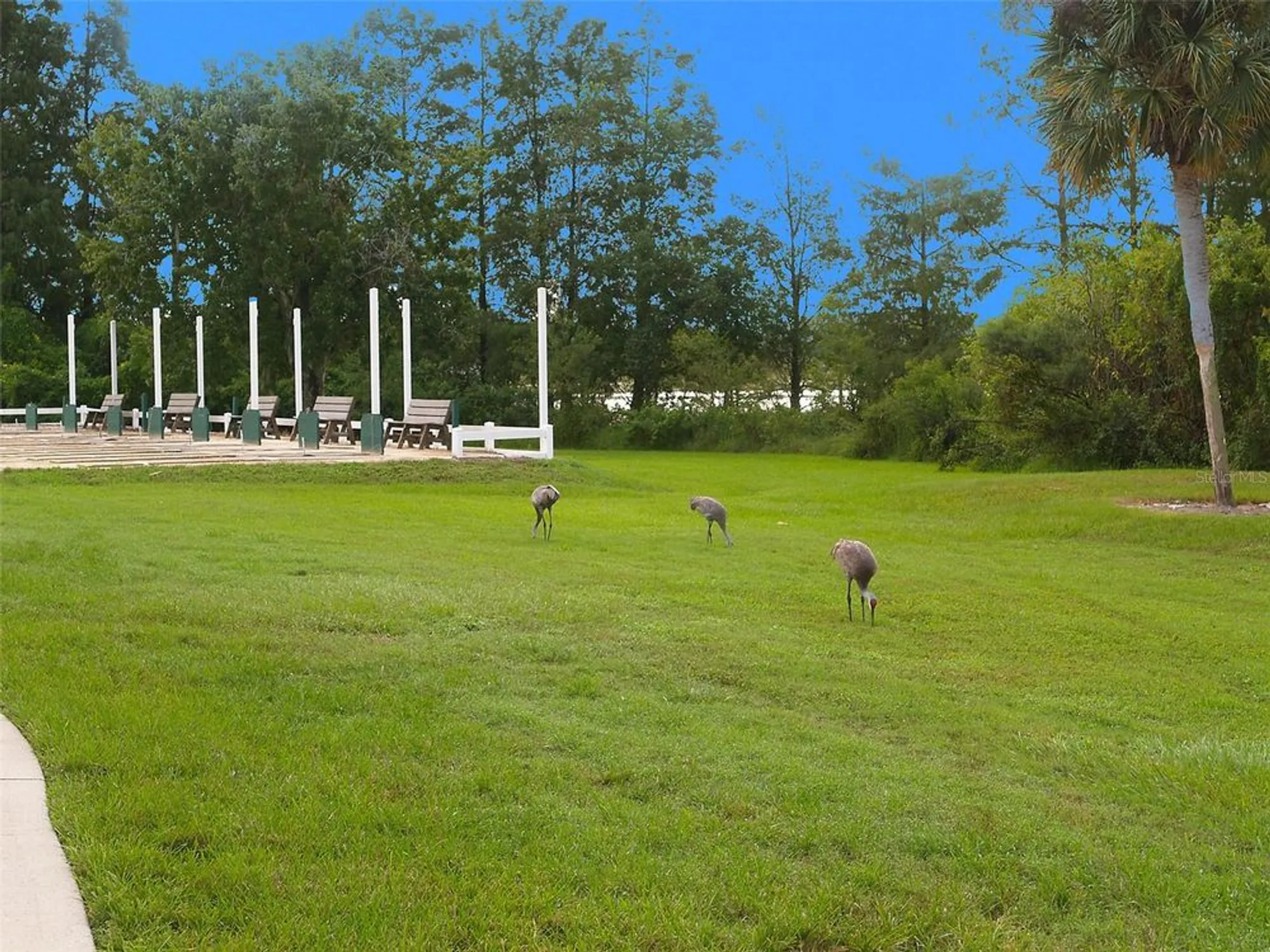 Property Slideshow image 36 of 47 | 25327 temple ct, Leesburg, FL, 34748