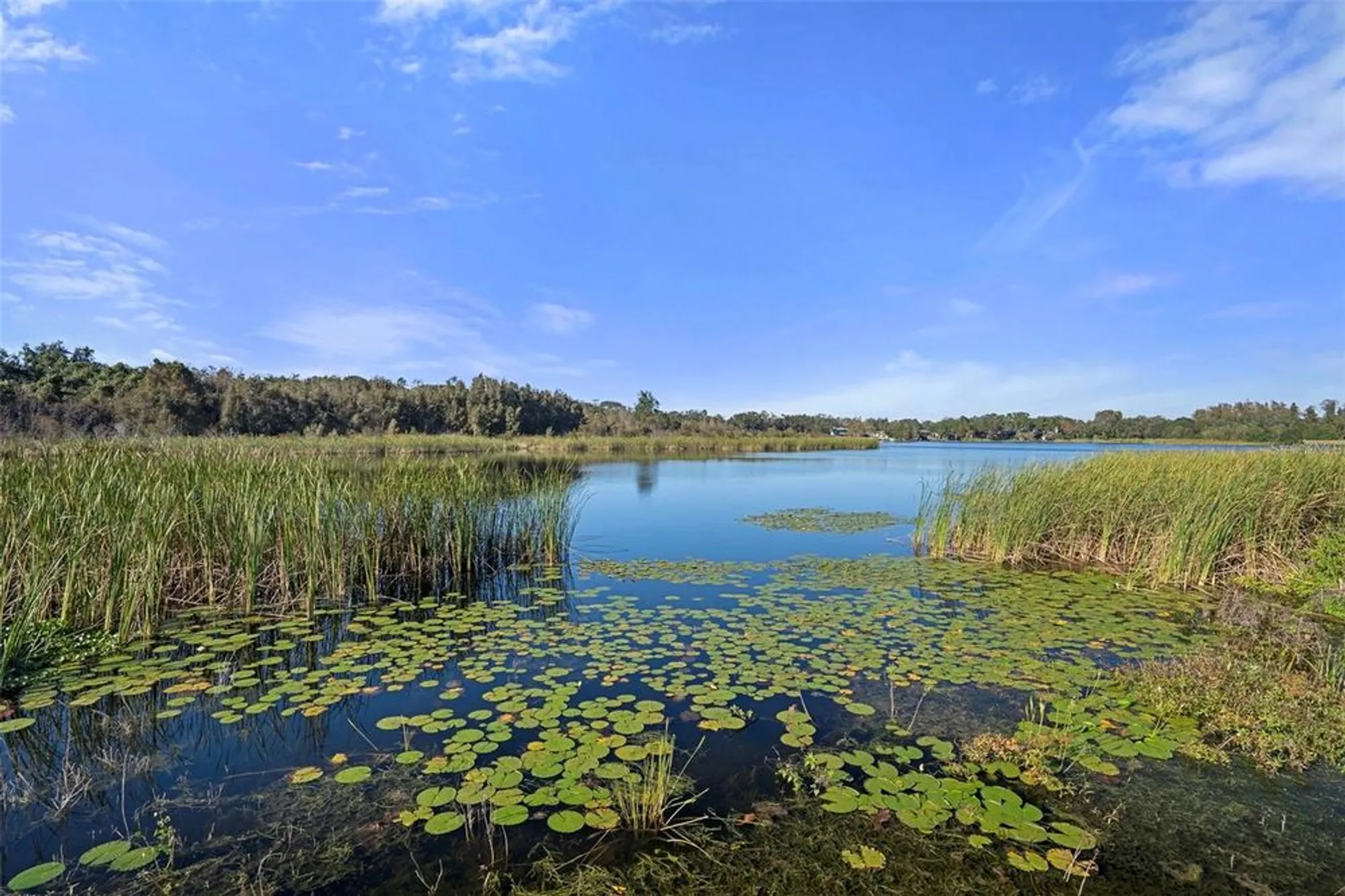 Property Slideshow image 55 of 61 | 2440 world parkway blvd 38, Clearwater, FL, 33763