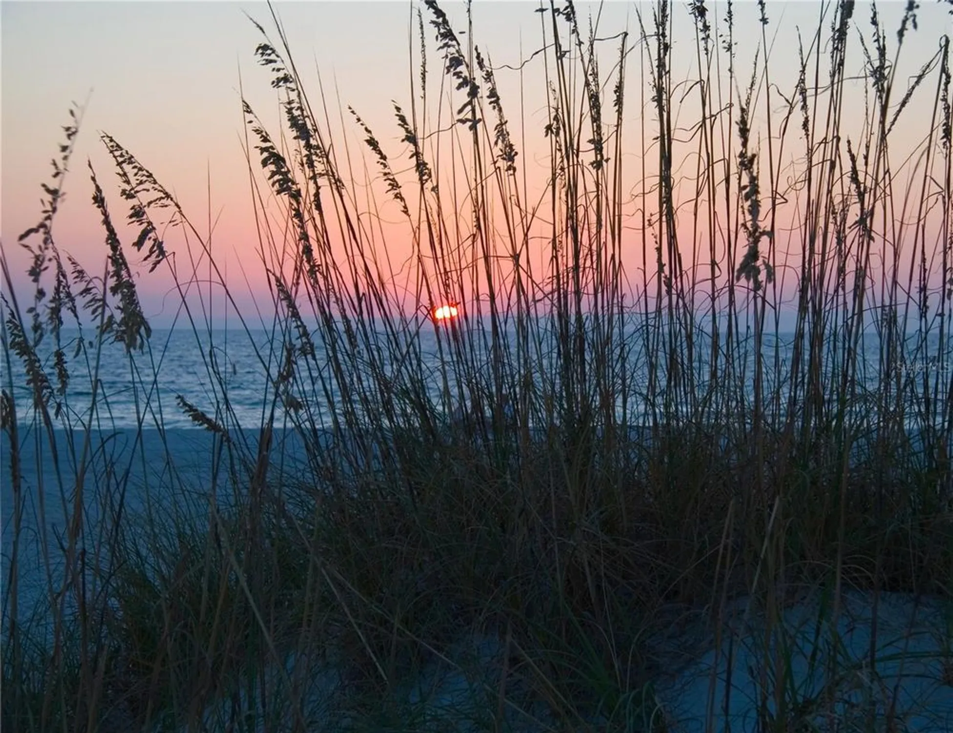 Property Slideshow image 49 of 50 | 8198 terrace garden dr n unit 407, St Petersburg, FL, 33709