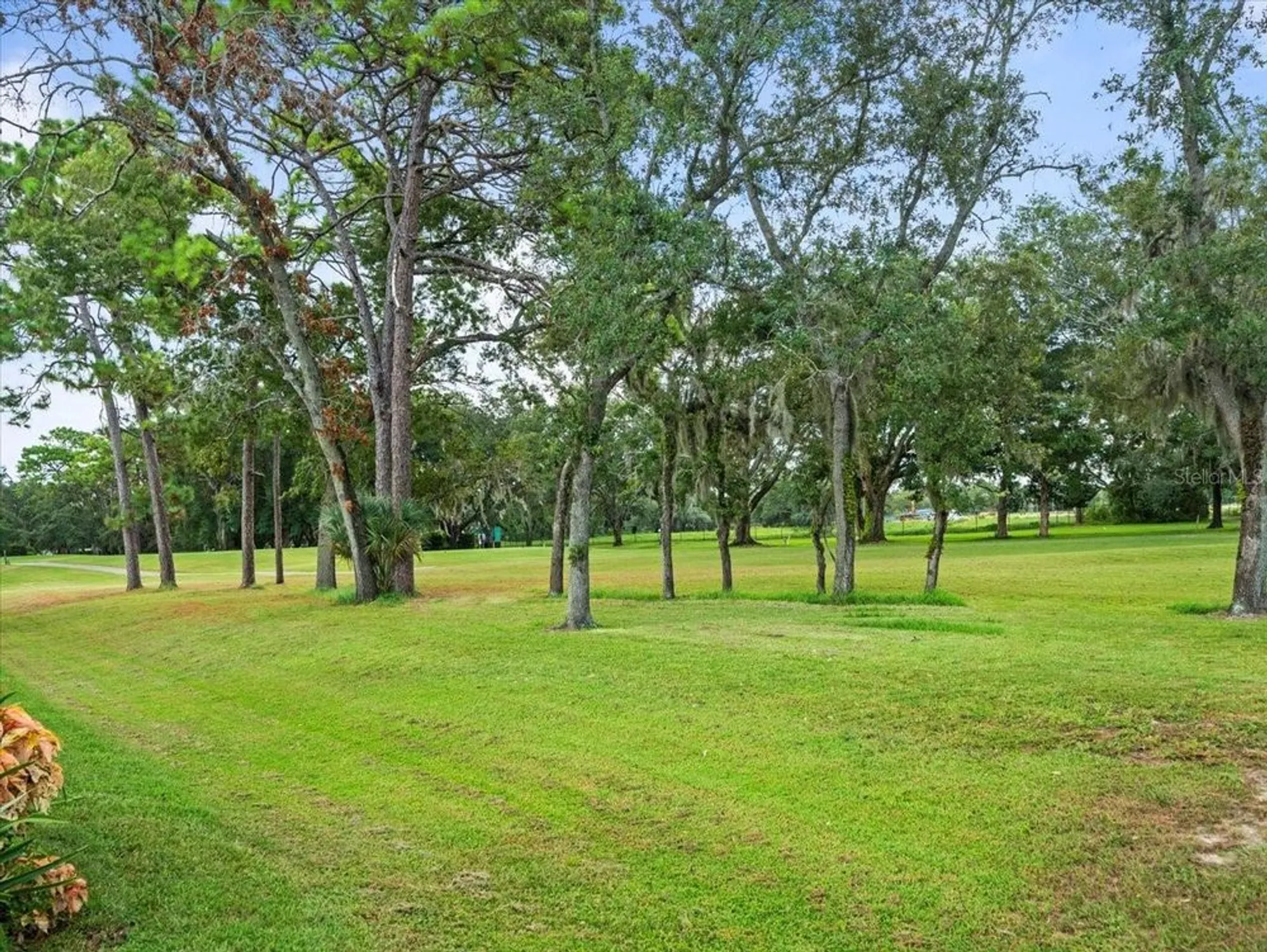 Property Slideshow image 49 of 54 | 9694 southern belle dr, Weeki Wachee, FL, 34613
