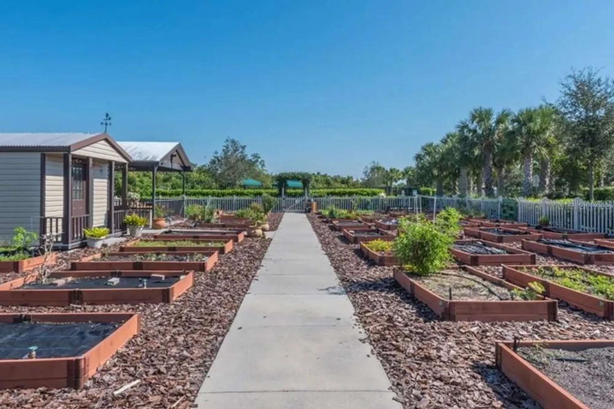 Property Slideshow image 61 of 74 | 15837 aurora lake cir, Wimauma, FL, 33598