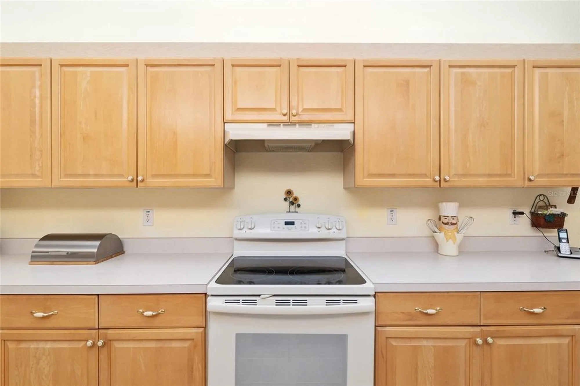 Property Slideshow image 17 of 69 | 11335 sw 138th ln, Dunnellon, FL, 34432