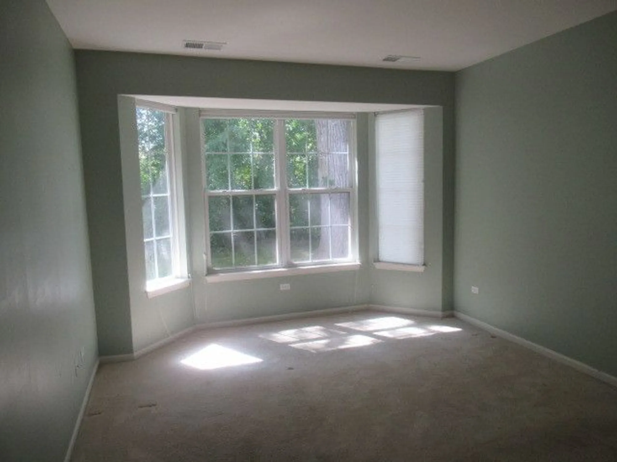 Property Slideshow image 15 of 24 | 12334 daphne dr, Huntley, IL, 60142