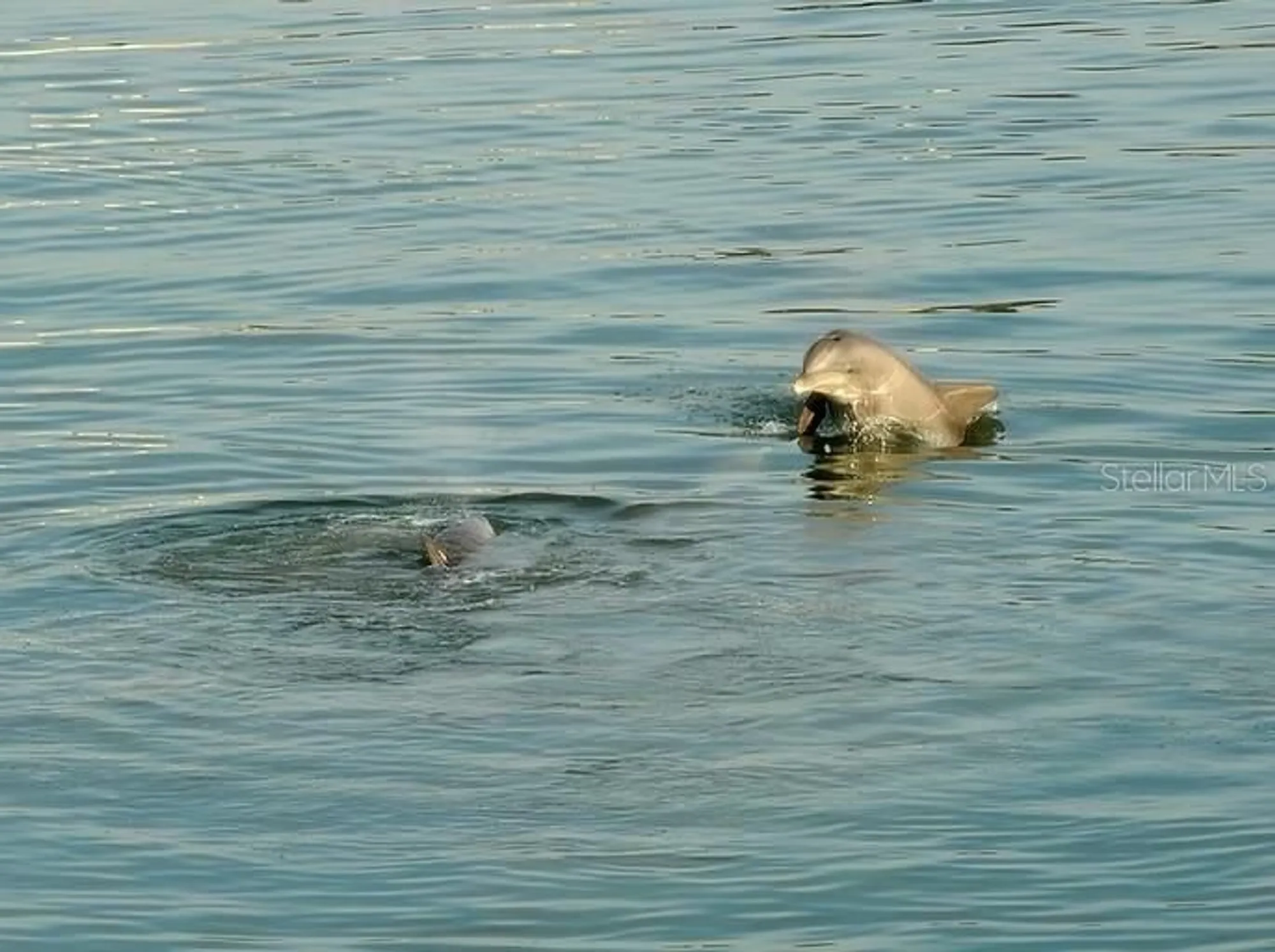 Property Slideshow image 19 of 39 | 6075 shore blvd 215, Gulfport, FL, 33707