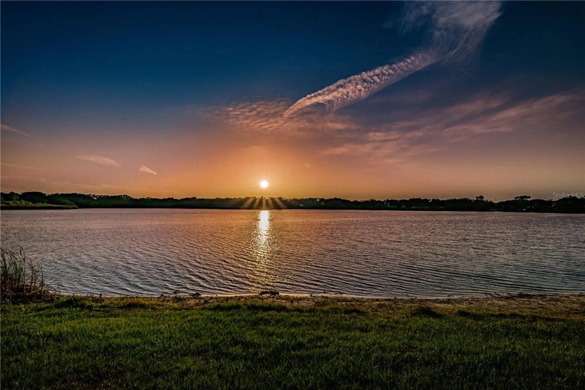 Property Slideshow image 72 of 74 | 2428 columbia dr 64, Clearwater, FL, 33763