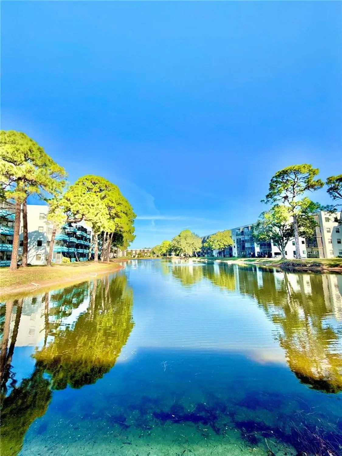 Property Slideshow image 34 of 46 | 5970 80th st n unit 411, St Petersburg, FL, 33709