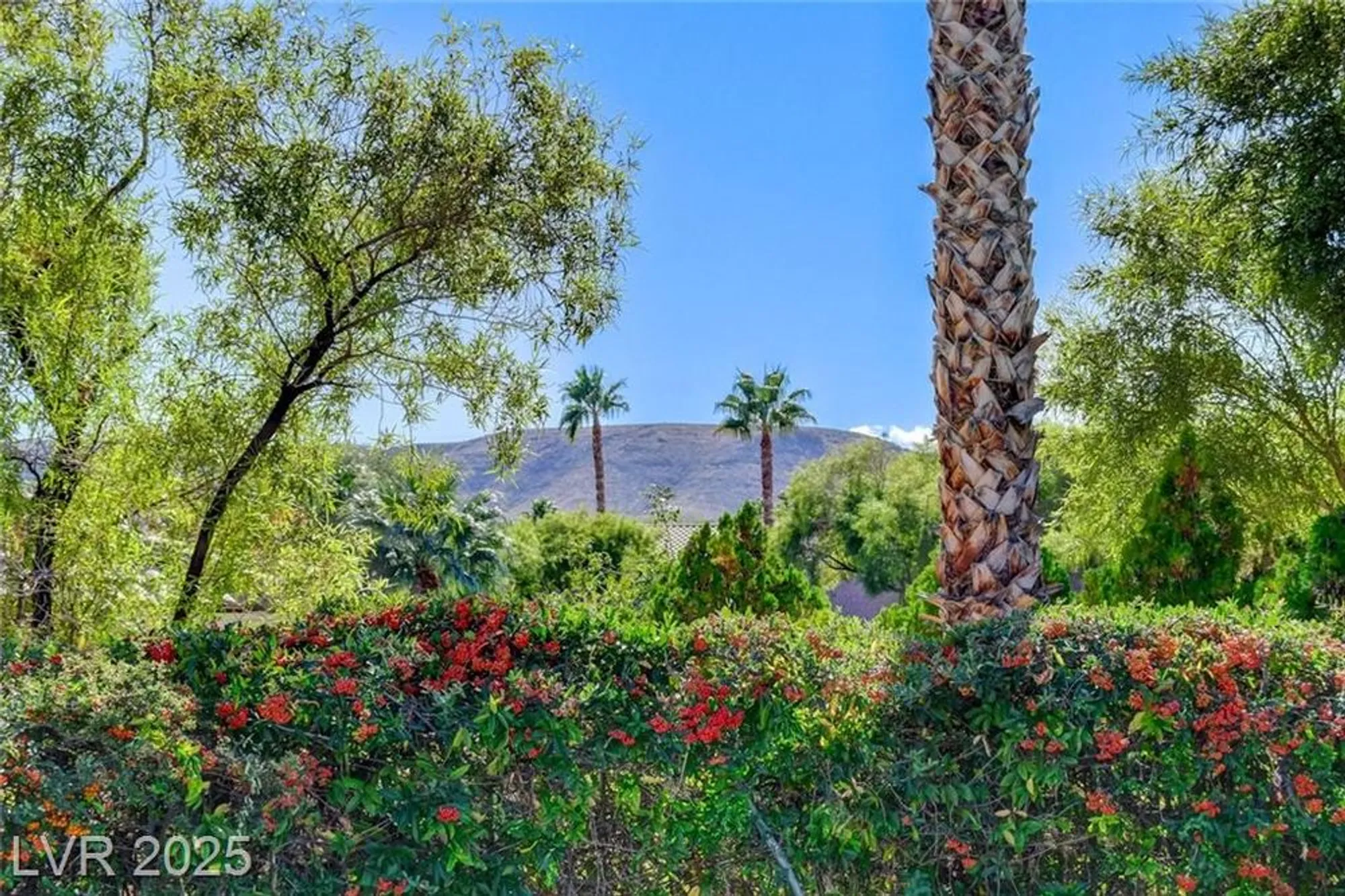 Property Slideshow image 42 of 55 | 10297 donde ave, Las Vegas, NV, 89135