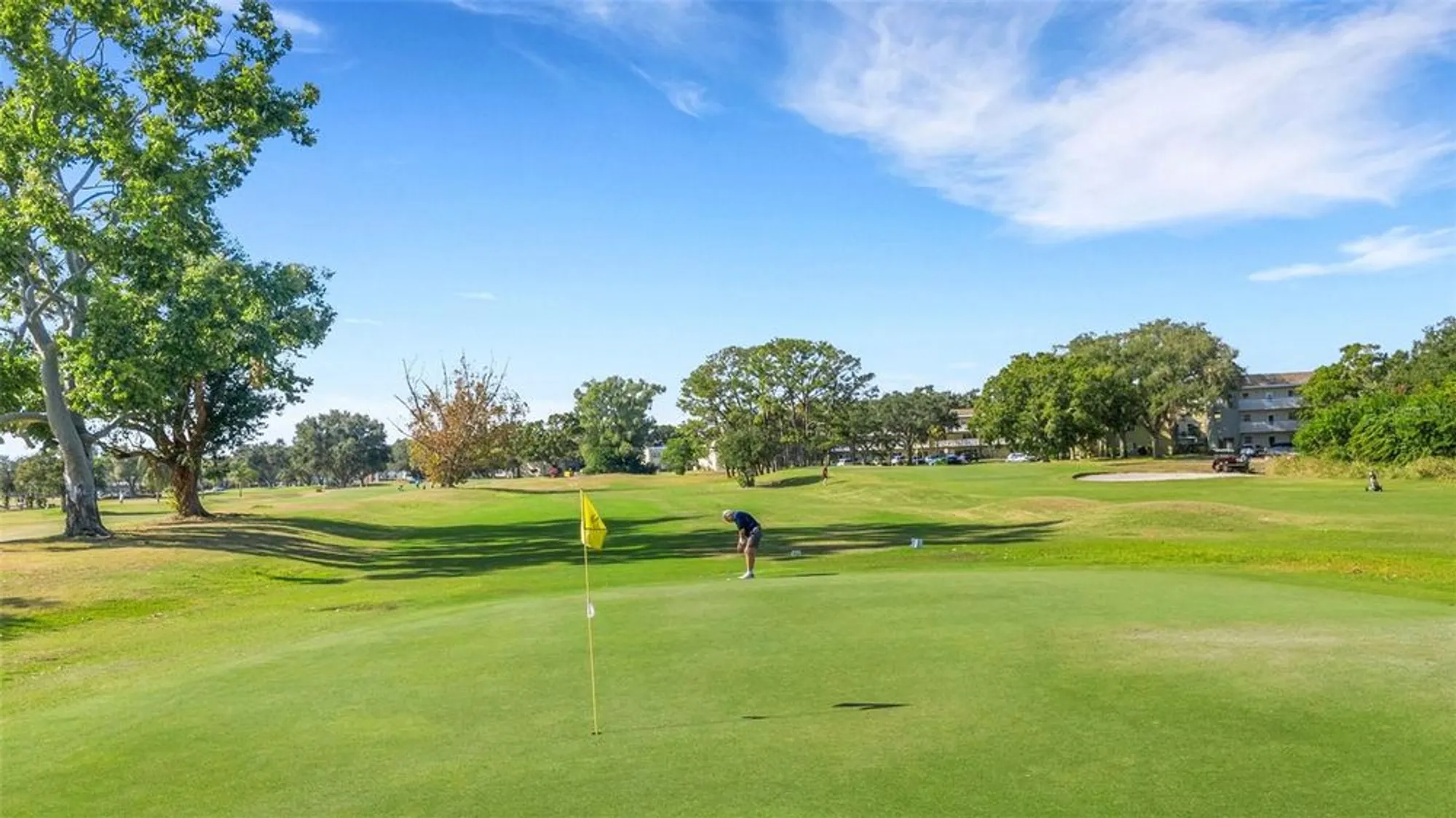 Property Slideshow image 47 of 70 | 2416 world parkway blvd apt 8, Clearwater, FL, 33763