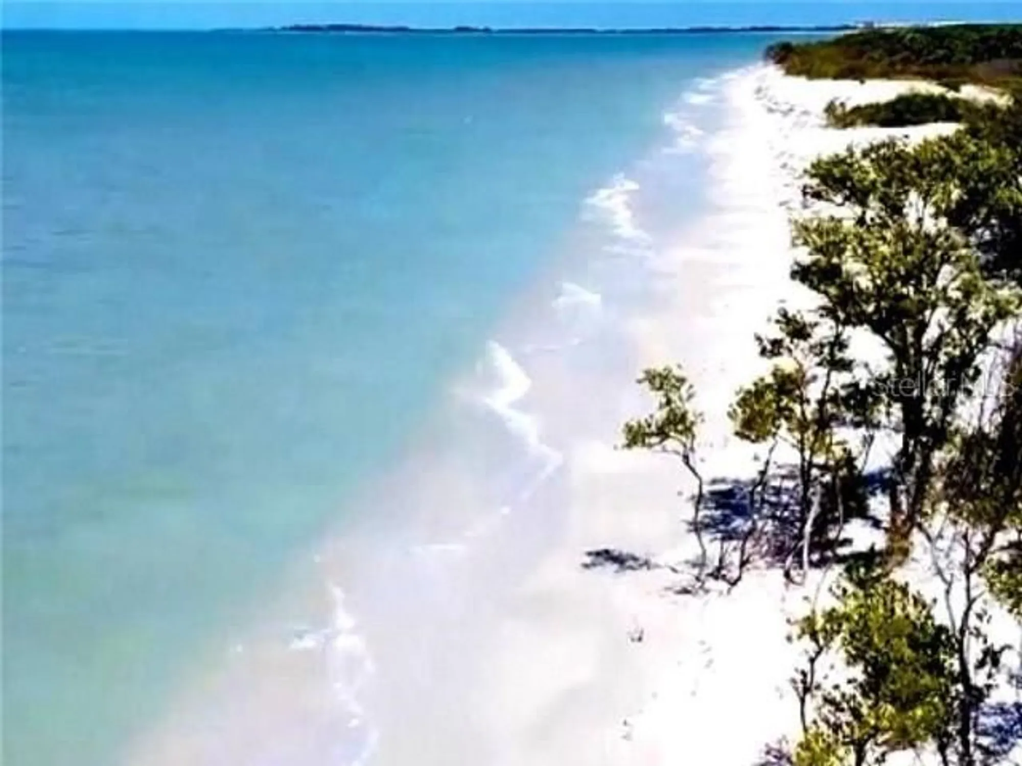 Property Slideshow image 73 of 84 | 1701 pinehurst rd apt 24b, Dunedin, FL, 34698