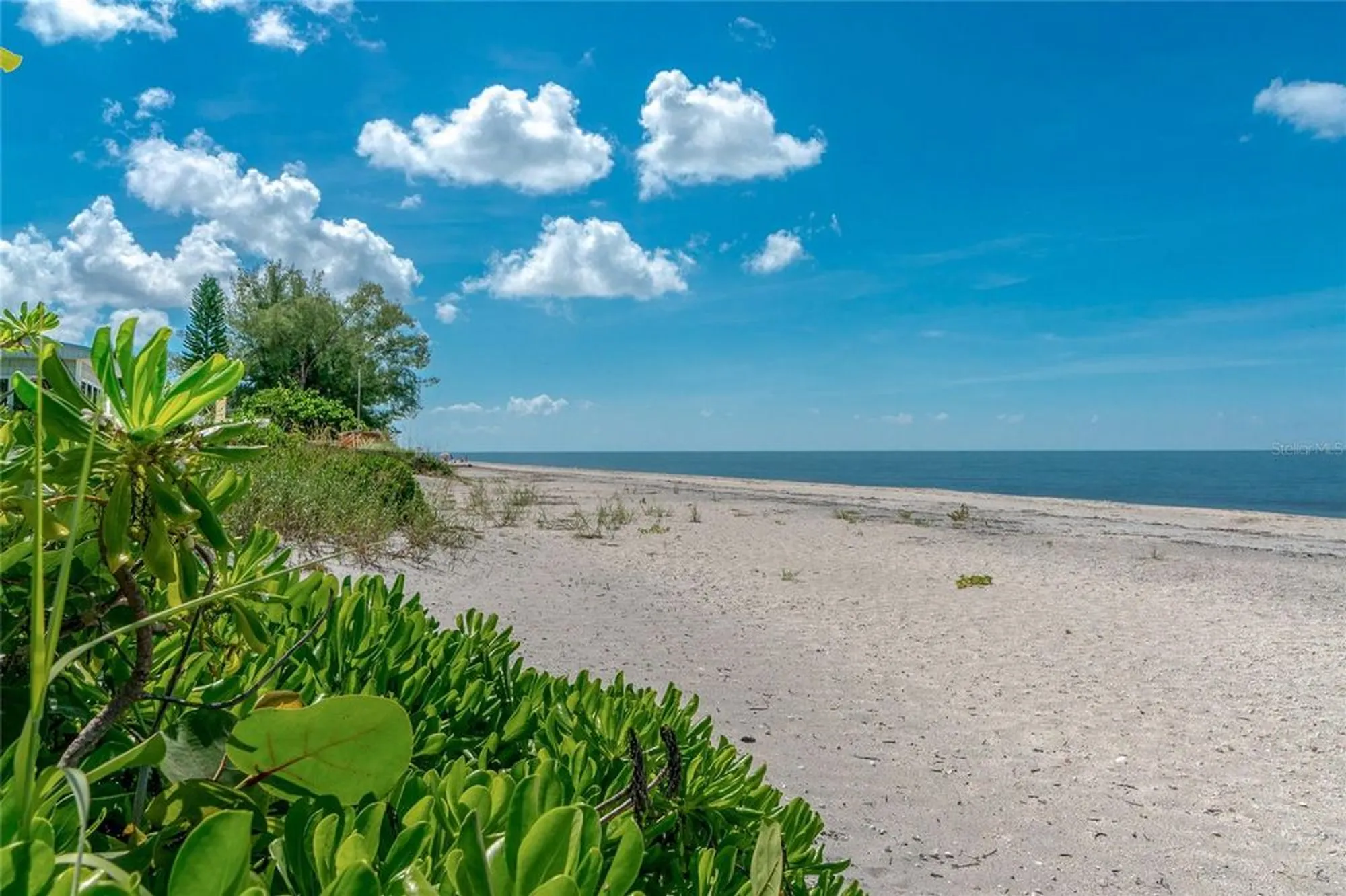 Property Slideshow image 74 of 76 | 26636 irwin dr, Englewood, FL, 34223