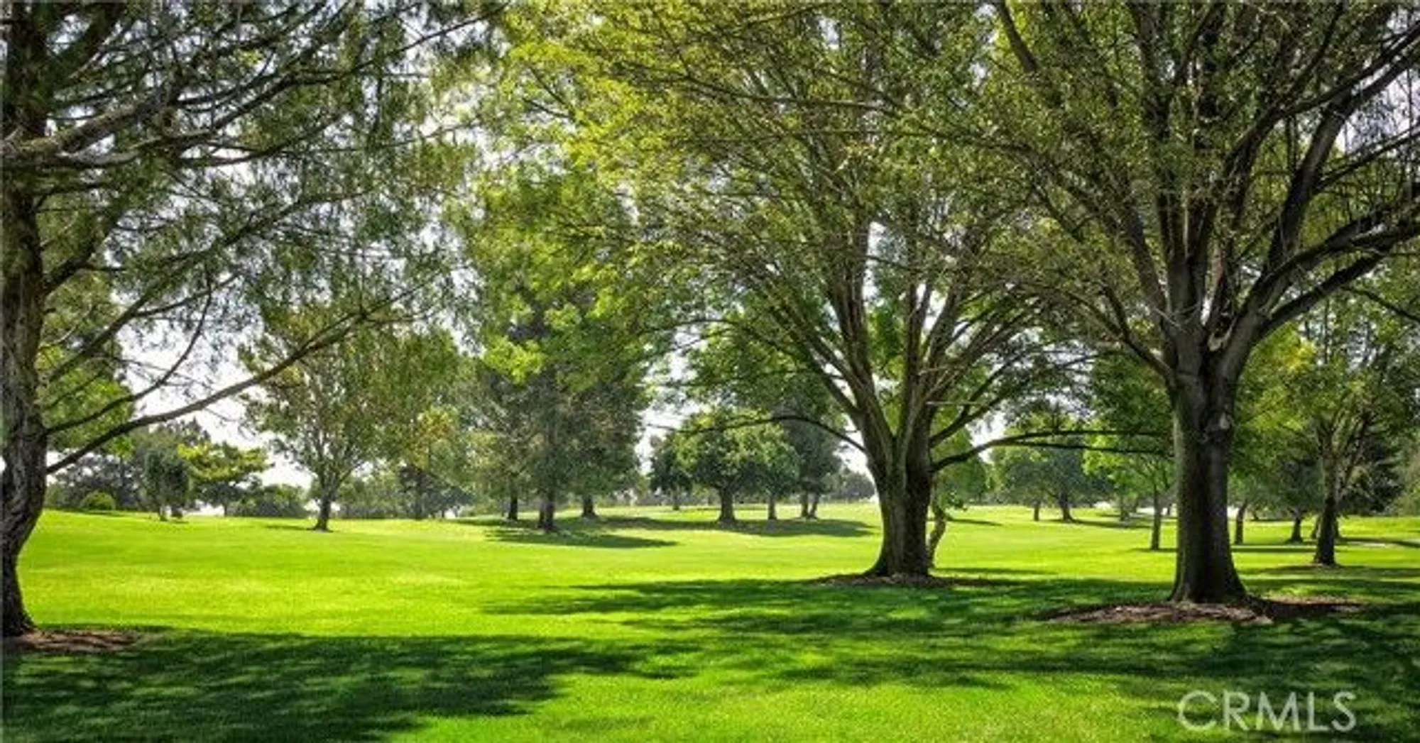 Property Slideshow image 33 of 33 | 803 ronda mendoza a, Laguna Woods, CA, 92637