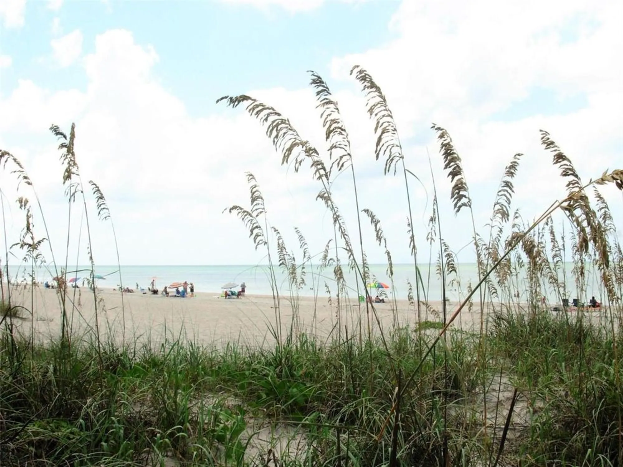 Property Slideshow image 51 of 60 | 29176 coral harbour dr, Englewood, FL, 34223