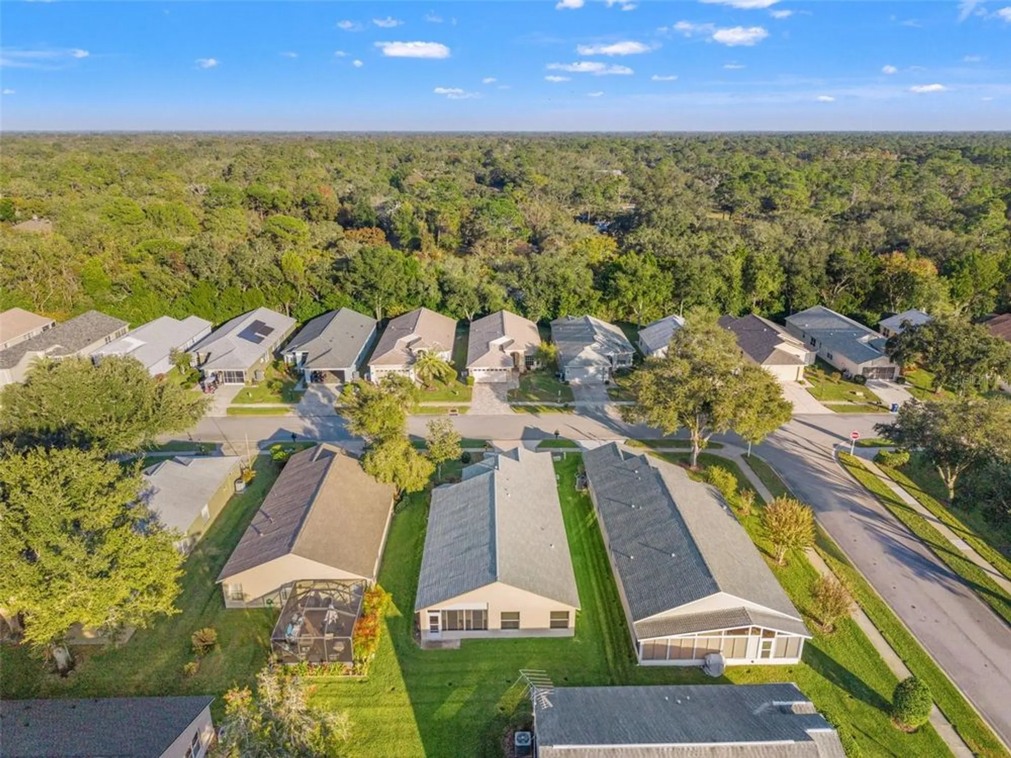 Property Slideshow image 31 of 39 | 18041 webster grove dr, Hudson, FL, 34667