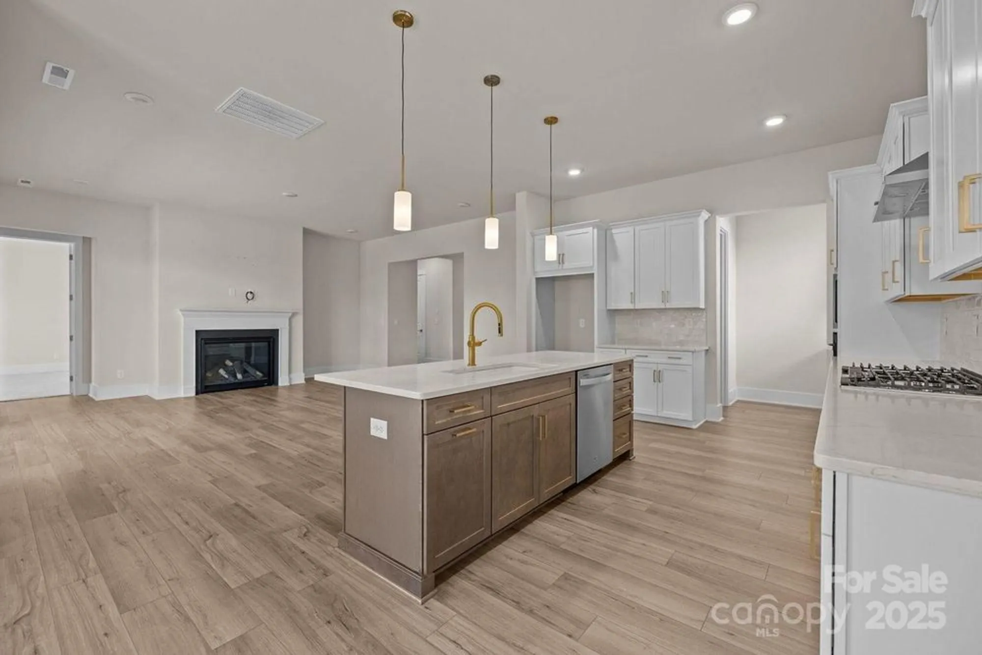 Property Slideshow image 3 of 39 | 1189 pinecone ave, Indian Land, SC, 29707