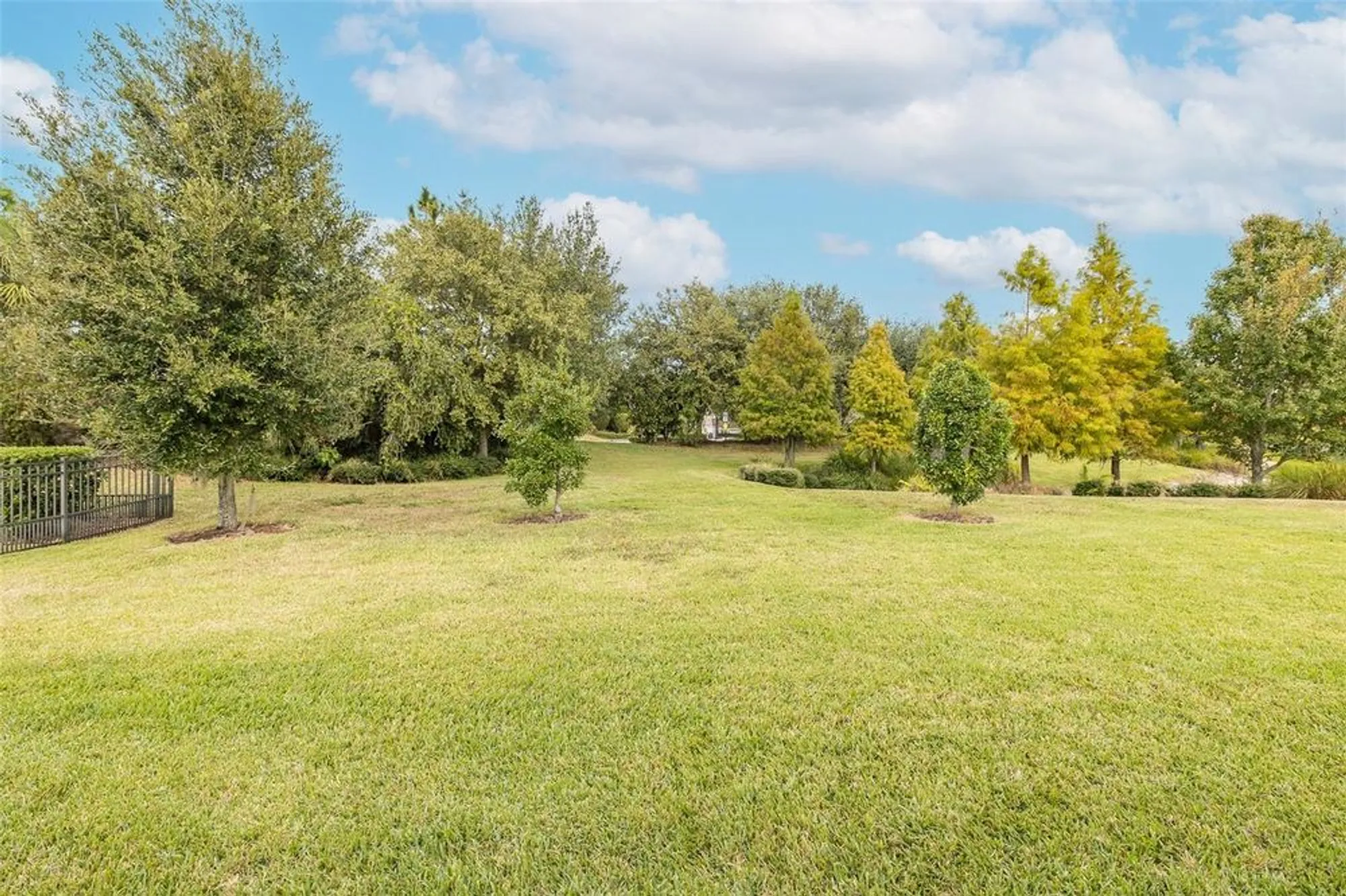 Property Slideshow image 60 of 100 | 11599 callisia dr, Odessa, FL, 33556