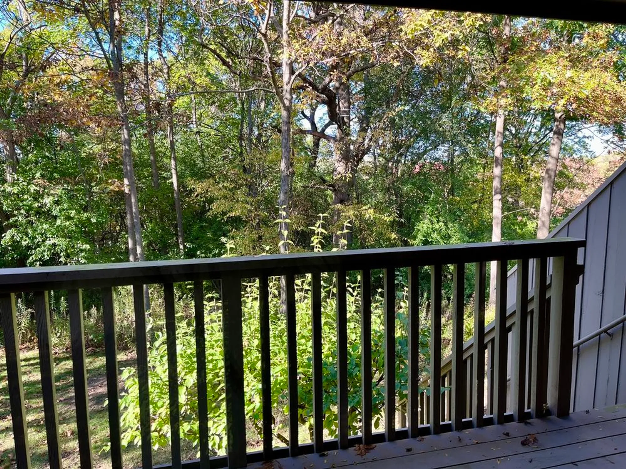 Property Slideshow image 8 of 43 | 315 bluff ct c, Lake Barrington, IL, 60010