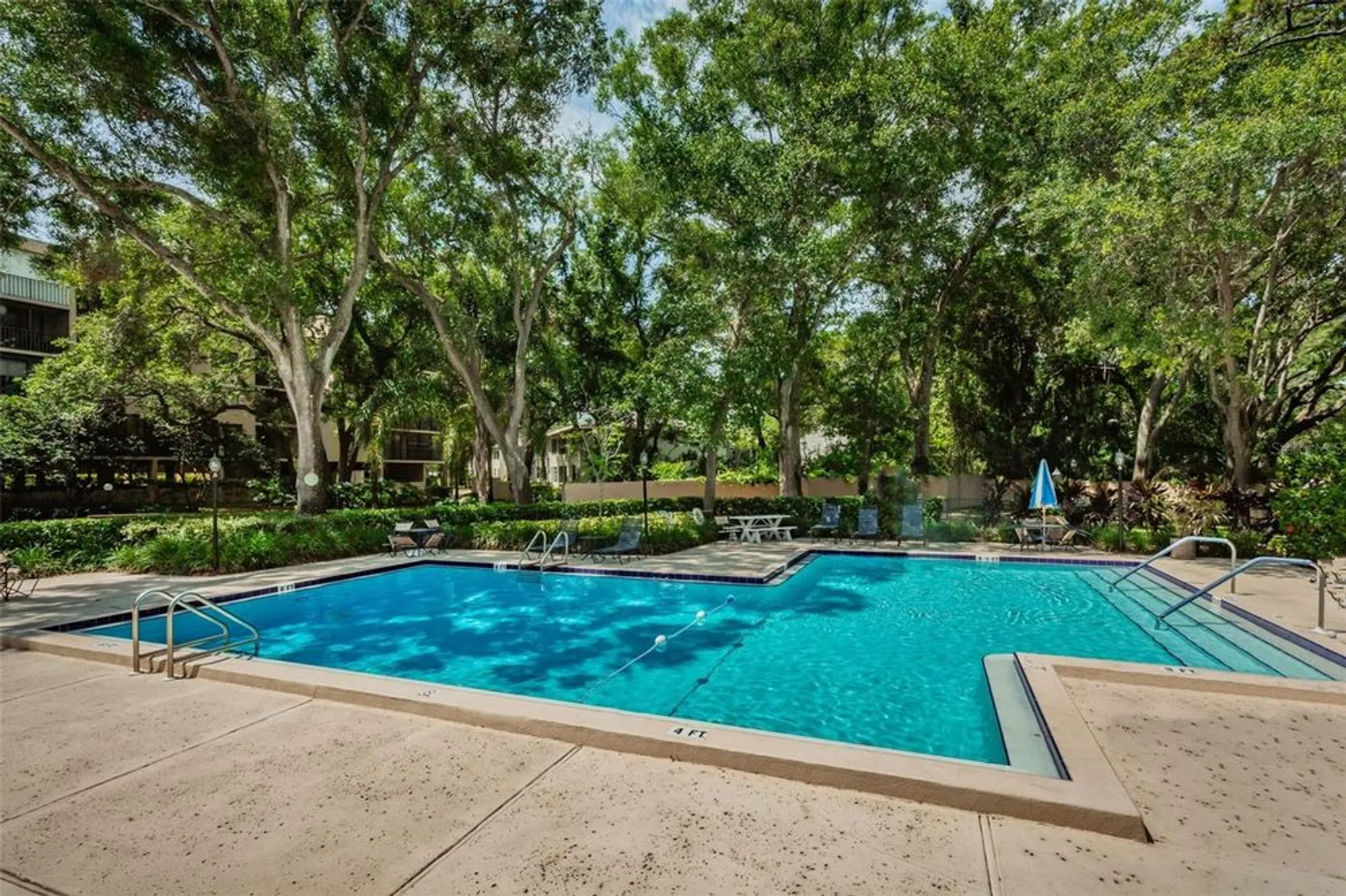 Property Slideshow image 56 of 57 | 3062 eastland blvd unit 402, Clearwater, FL, 33761