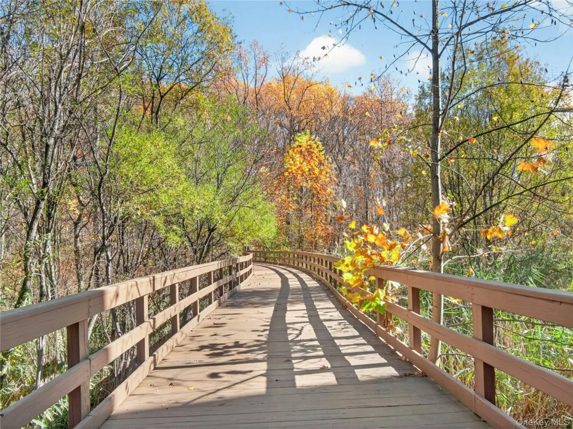 Property Slideshow image 29 of 48 | 41 michael roberts ct, Pearl River, NY, 10965