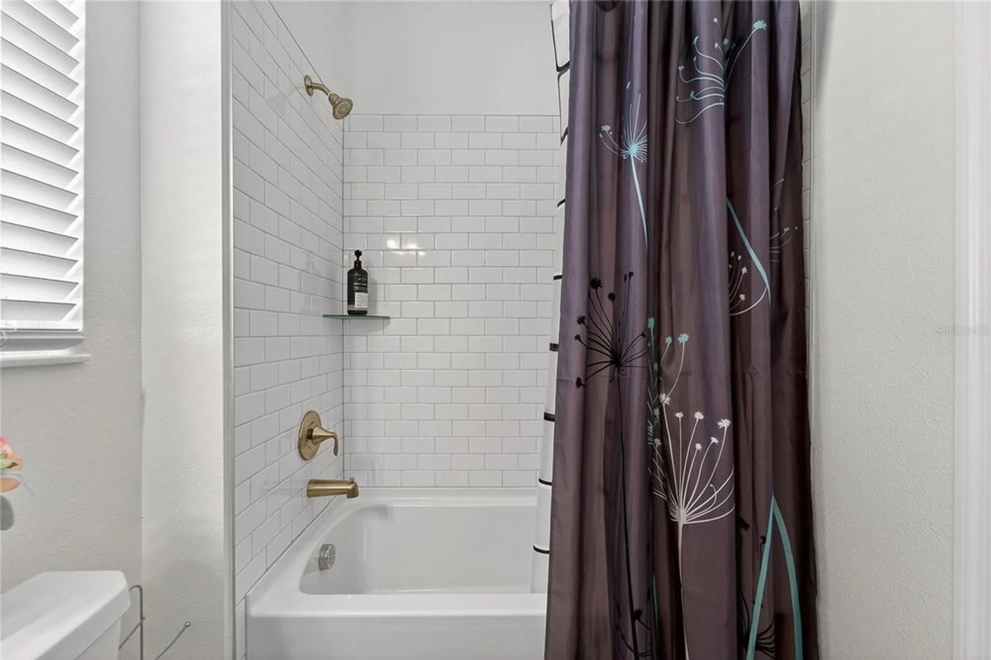 Property Slideshow image 49 of 98 | 17216 scuba crest st, Wimauma, FL, 33598