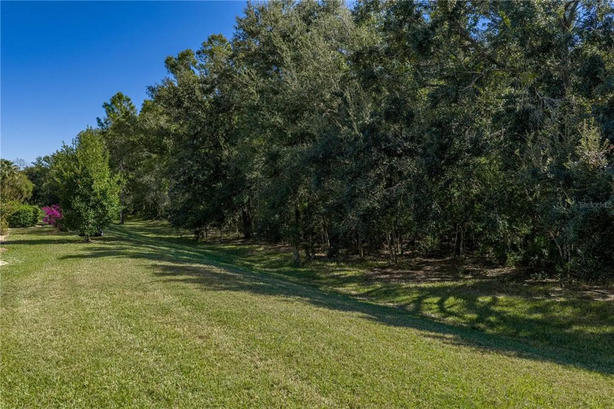 Property Slideshow image 54 of 92 | 9617 rolling cir, San Antonio, FL, 33576