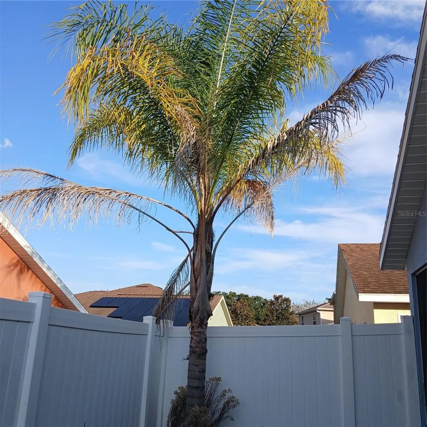 Property Slideshow image 38 of 55 | 4896 ne 123rd ln, Oxford, FL, 34484