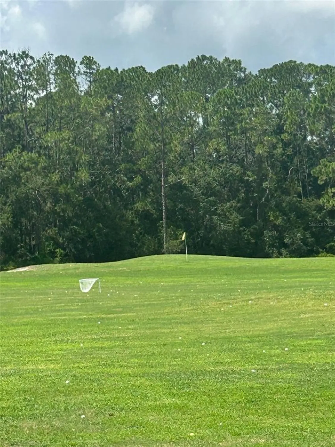 Property Slideshow image 17 of 28 | 25119 cranes roost cir, Leesburg, FL, 34748