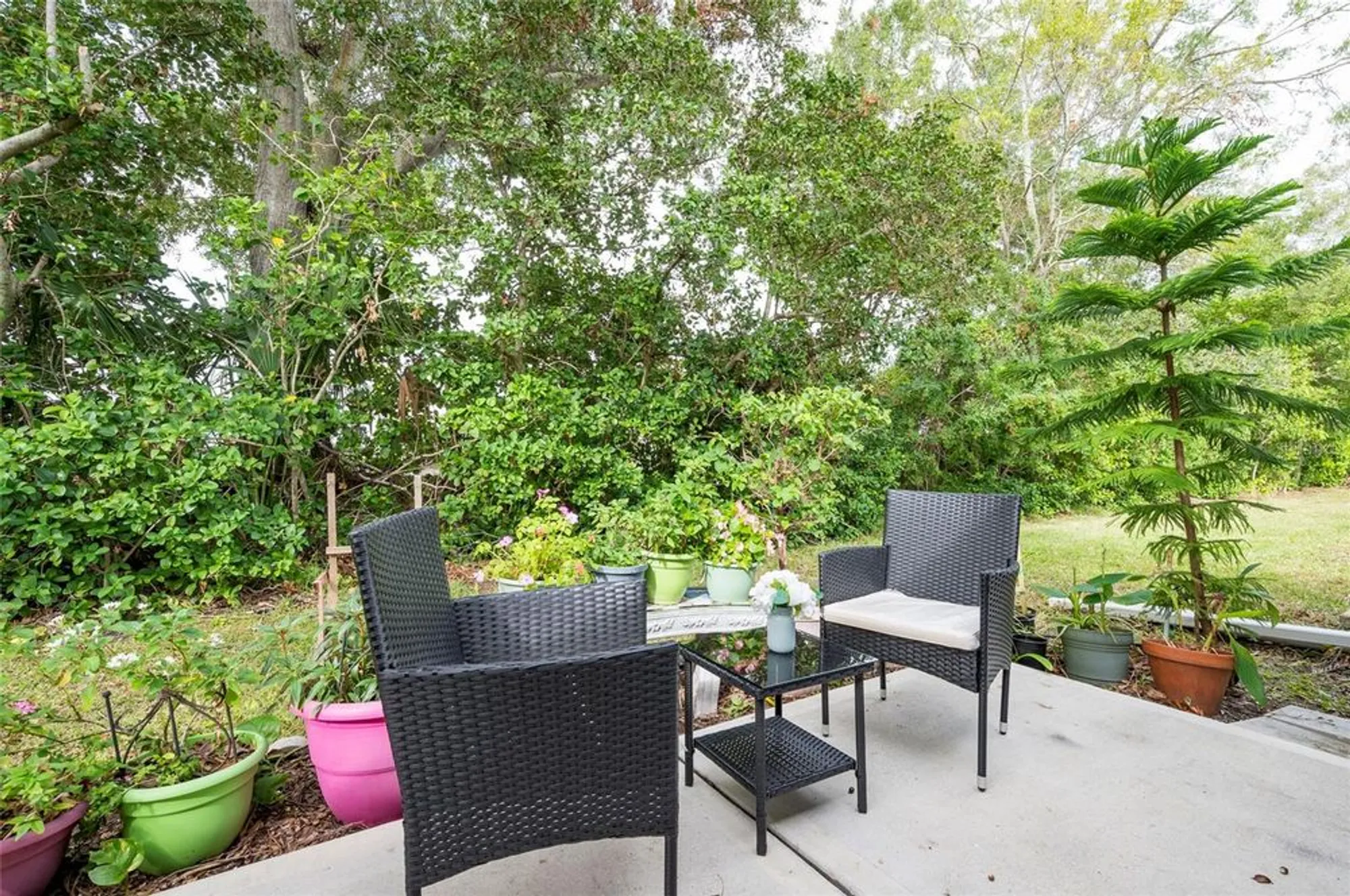 Property Slideshow image 18 of 22 | 2238 lark cir d, Palm Harbor, FL, 34684