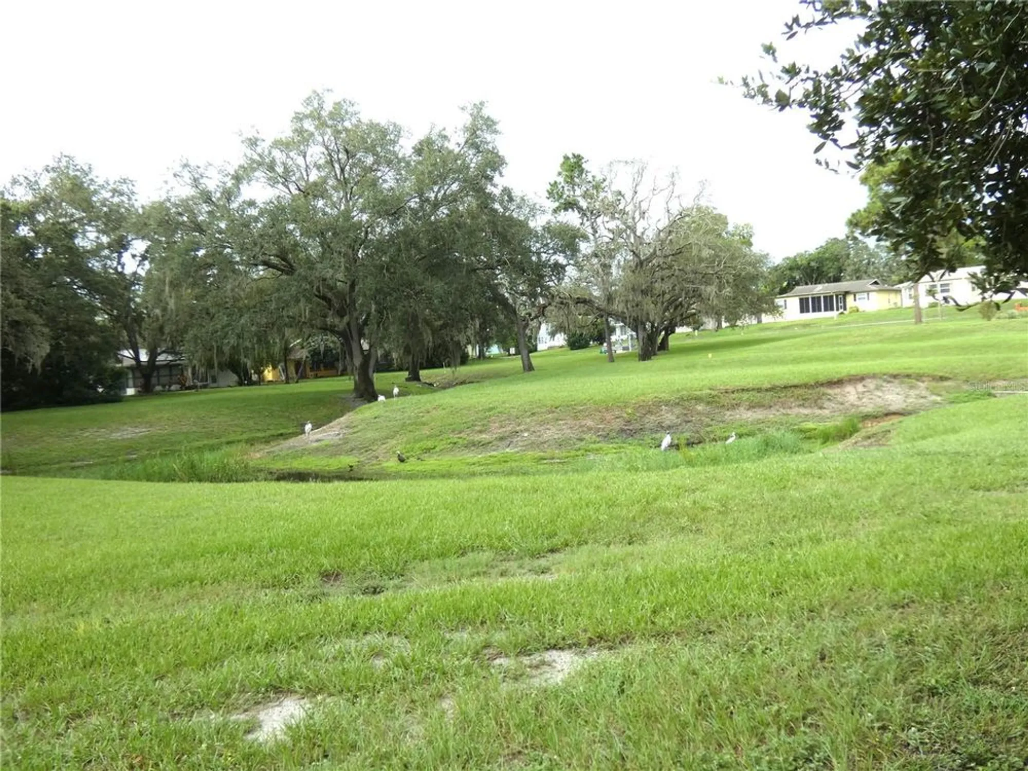 Property Slideshow image 9 of 39 | 8140 san felipe ct, Port Richey, FL, 34668