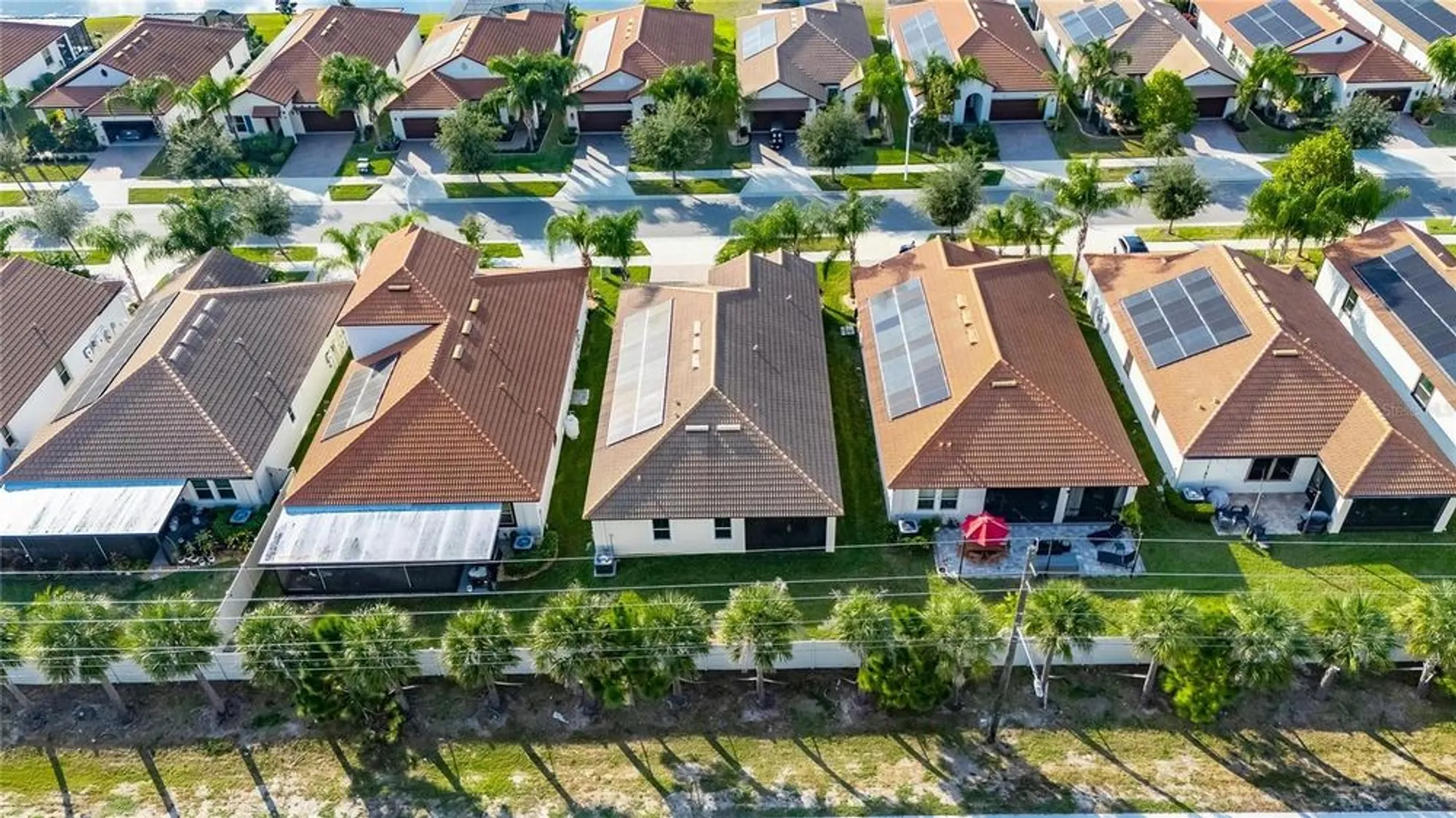 Property Slideshow image 7 of 78 | 16830 anchor root st, Wimauma, FL, 33598