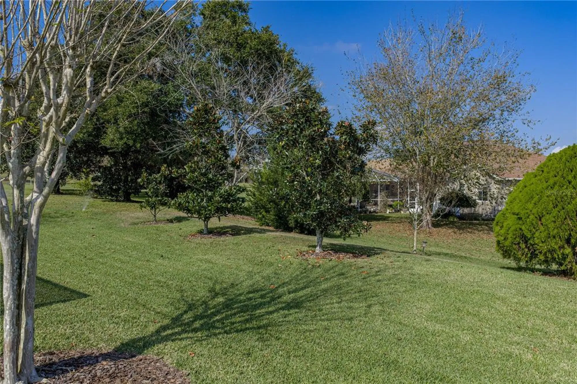 Property Slideshow image 56 of 71 | 13247 palmilla cir, Dade City, FL, 33525