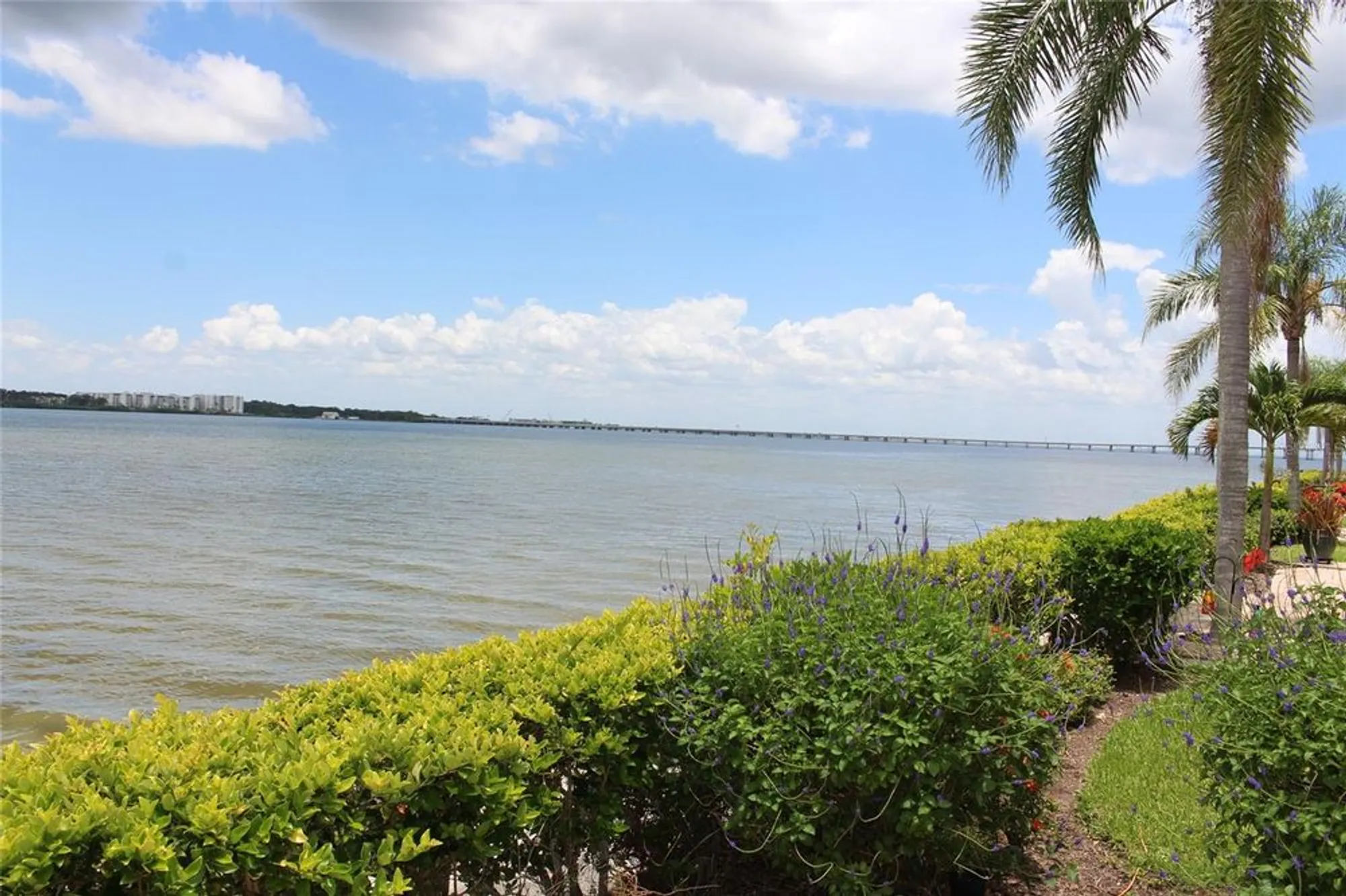Property Slideshow image 5 of 26 | 19029 us highway 19 n apt 16c, Clearwater, FL, 33764
