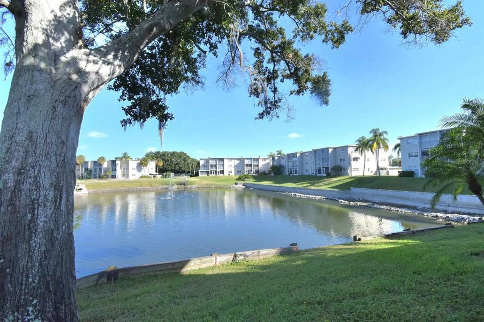 Property Slideshow image 3 of 30 | 948 virginia st apt 107, Dunedin, FL, 34698