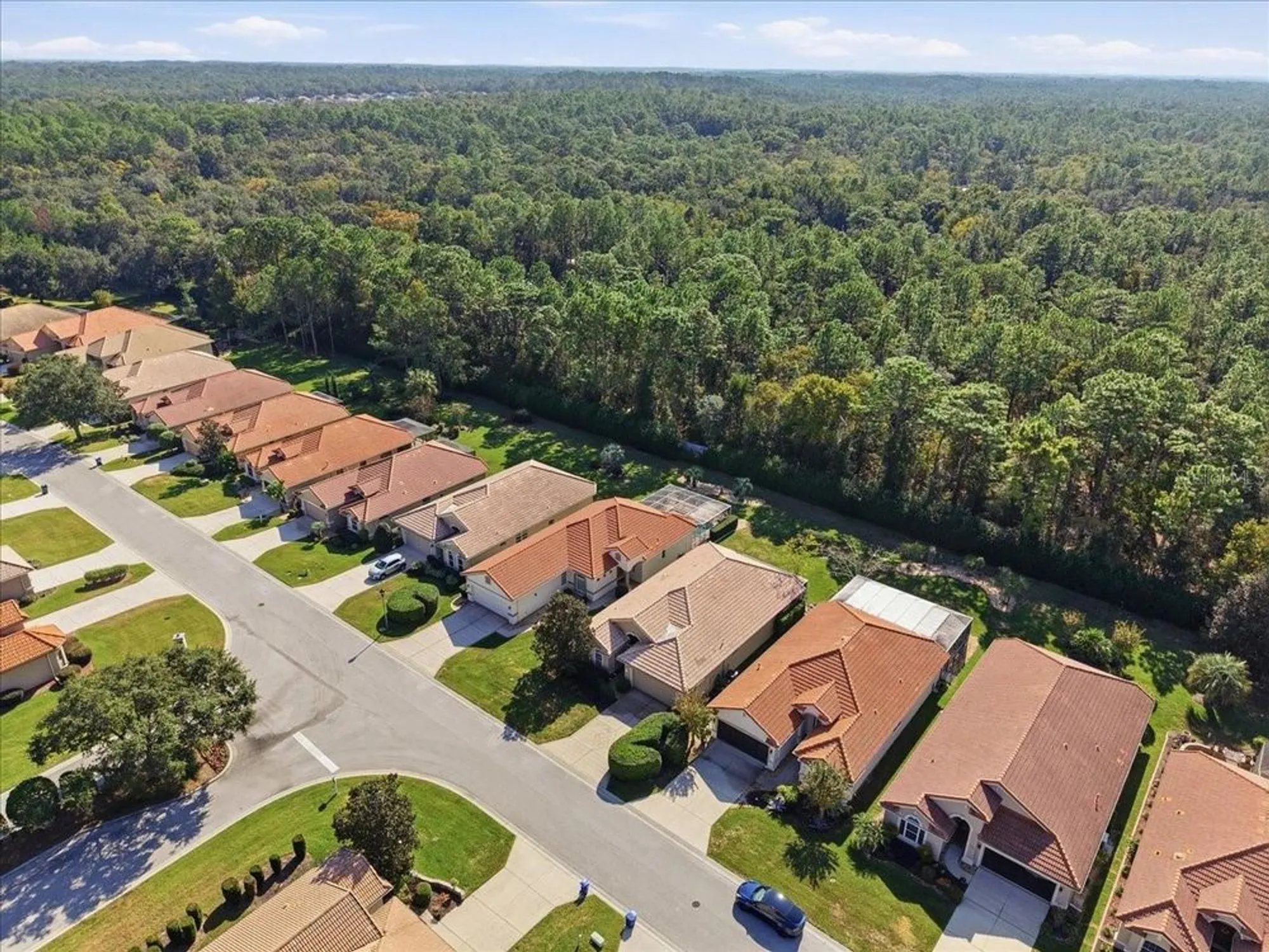 Property Slideshow image 47 of 55 | 1650 w laurel glen path, Hernando, FL, 34442