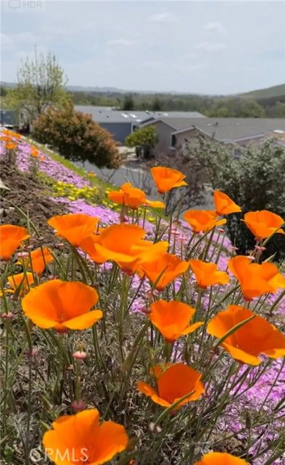 Property Slideshow image 60 of 73 | 1473 salem ct, Oceanside, CA, 92057