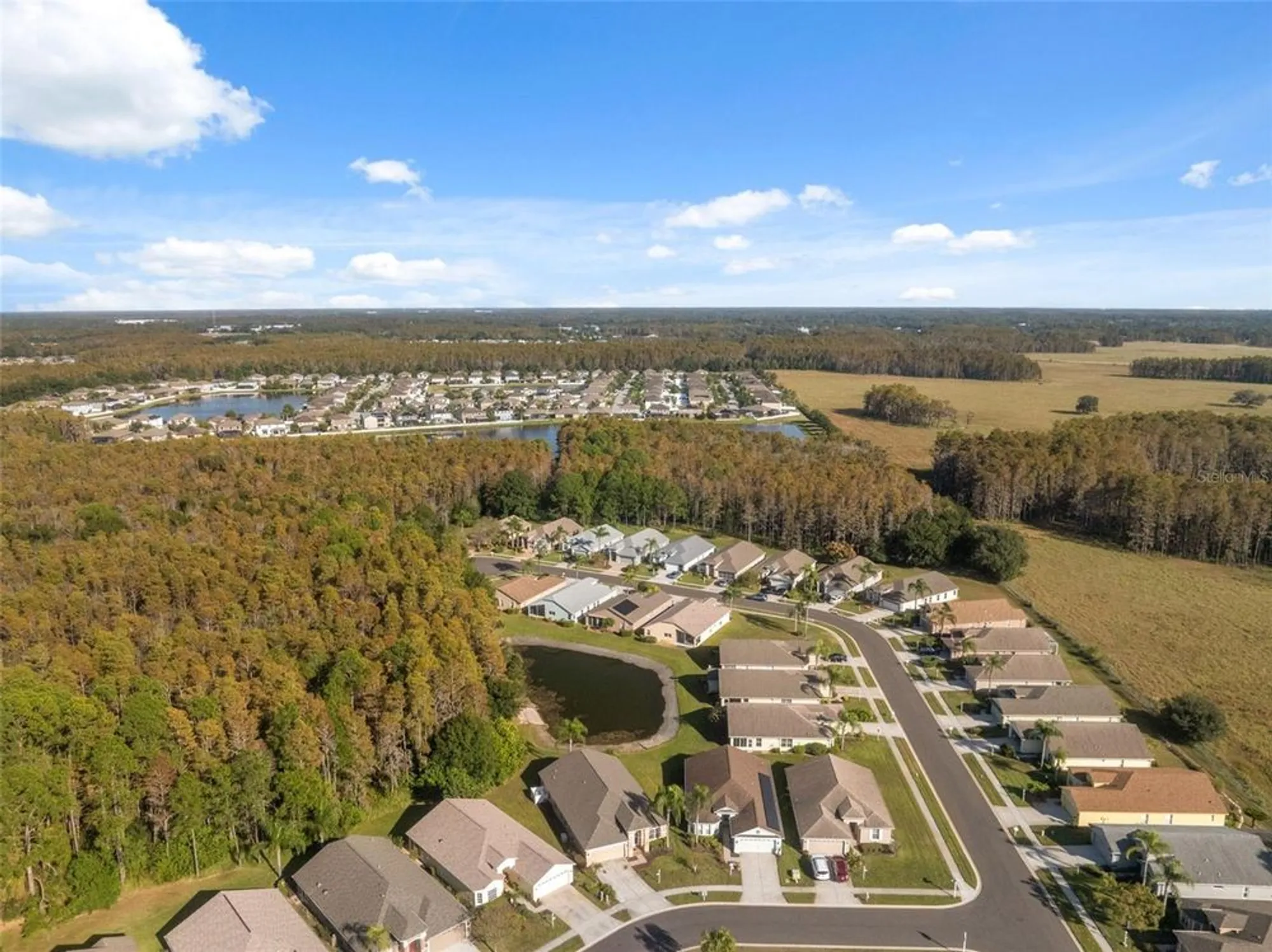 Property Slideshow image 46 of 78 | 1201 dustan pl, Trinity, FL, 34655