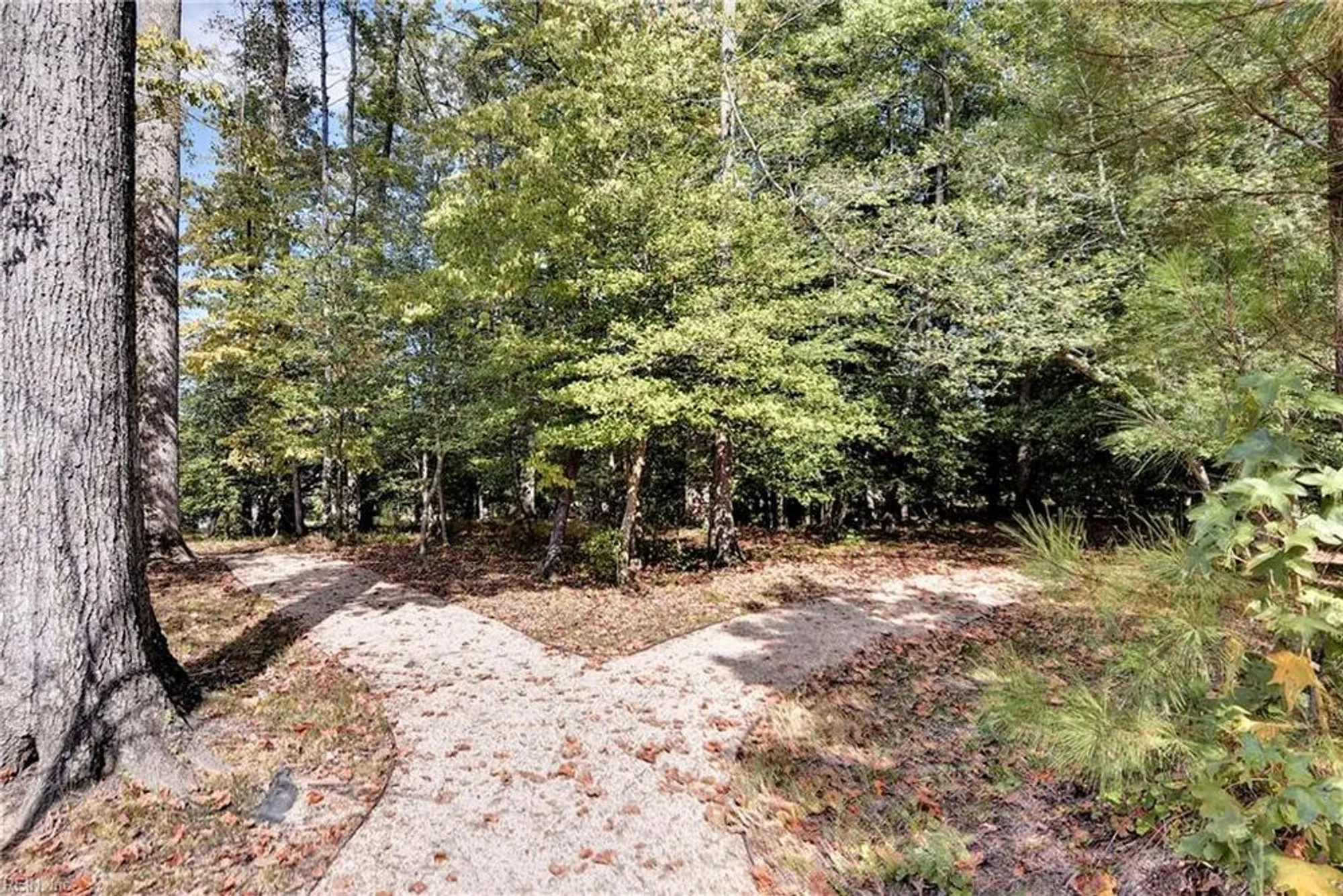 Property Slideshow image 6 of 12 | 5317 salzman st, Williamsburg, VA, 23188