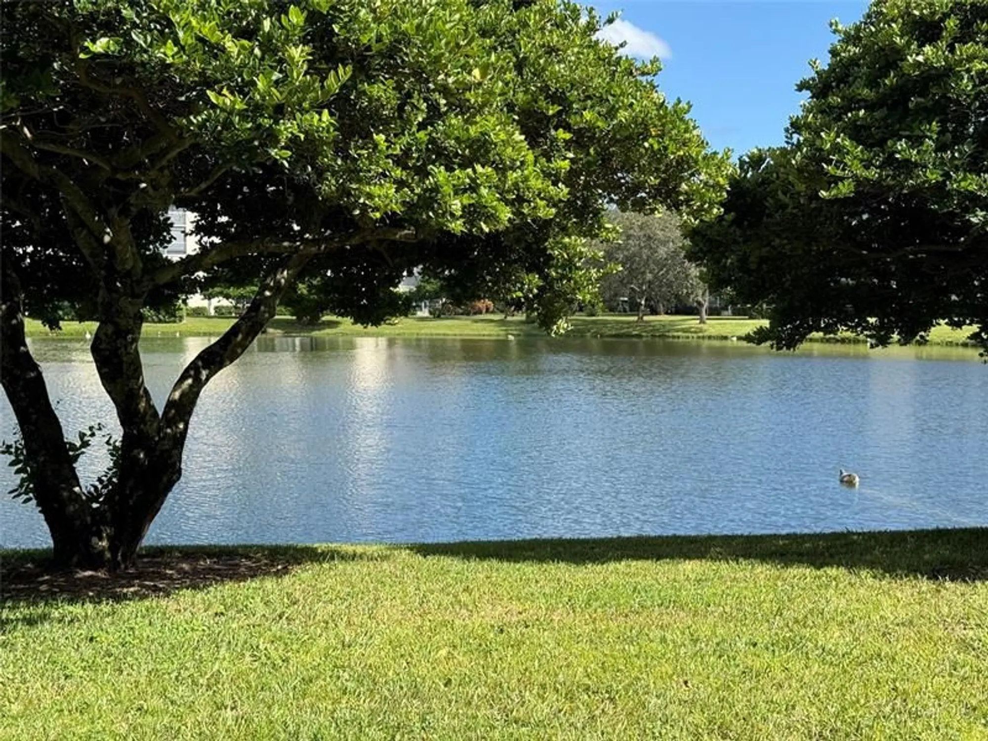 Property Slideshow image 3 of 24 | 1902 bermuda cir e1, Coconut Creek, FL, 33066