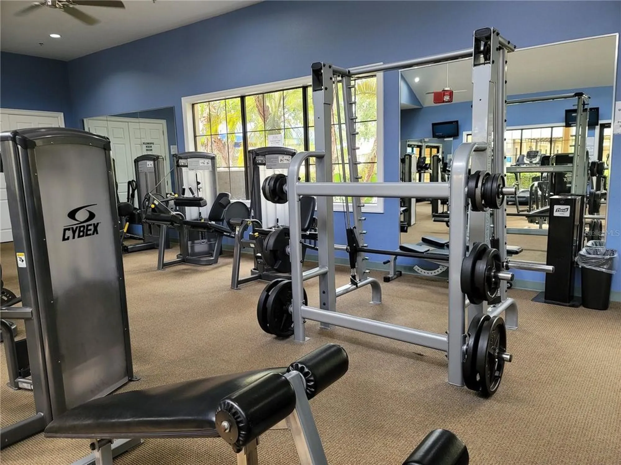 Property Slideshow image 79 of 100 | 303 bluewater falls ct, Apollo Beach, FL, 33572