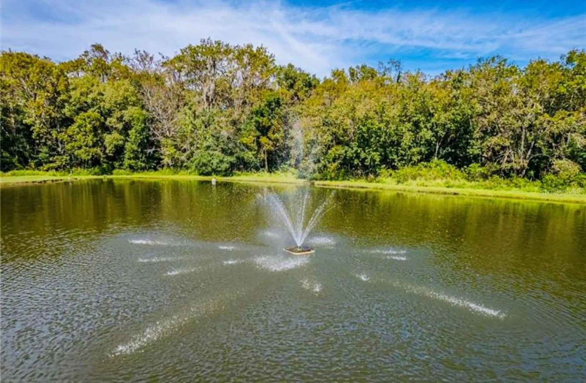 Property Slideshow image 37 of 59 | 1690 colonnades cir, Lakeland, FL, 33811